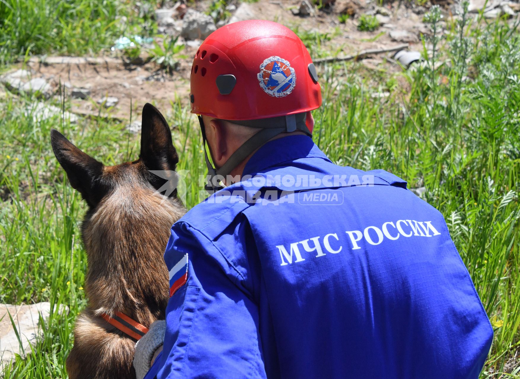 Московская область. Раменское. Сотрудники кинологического отряда Центроспас  МЧС России с собакой  во время тренировки на учебной площадке в лесопарковой зоне.