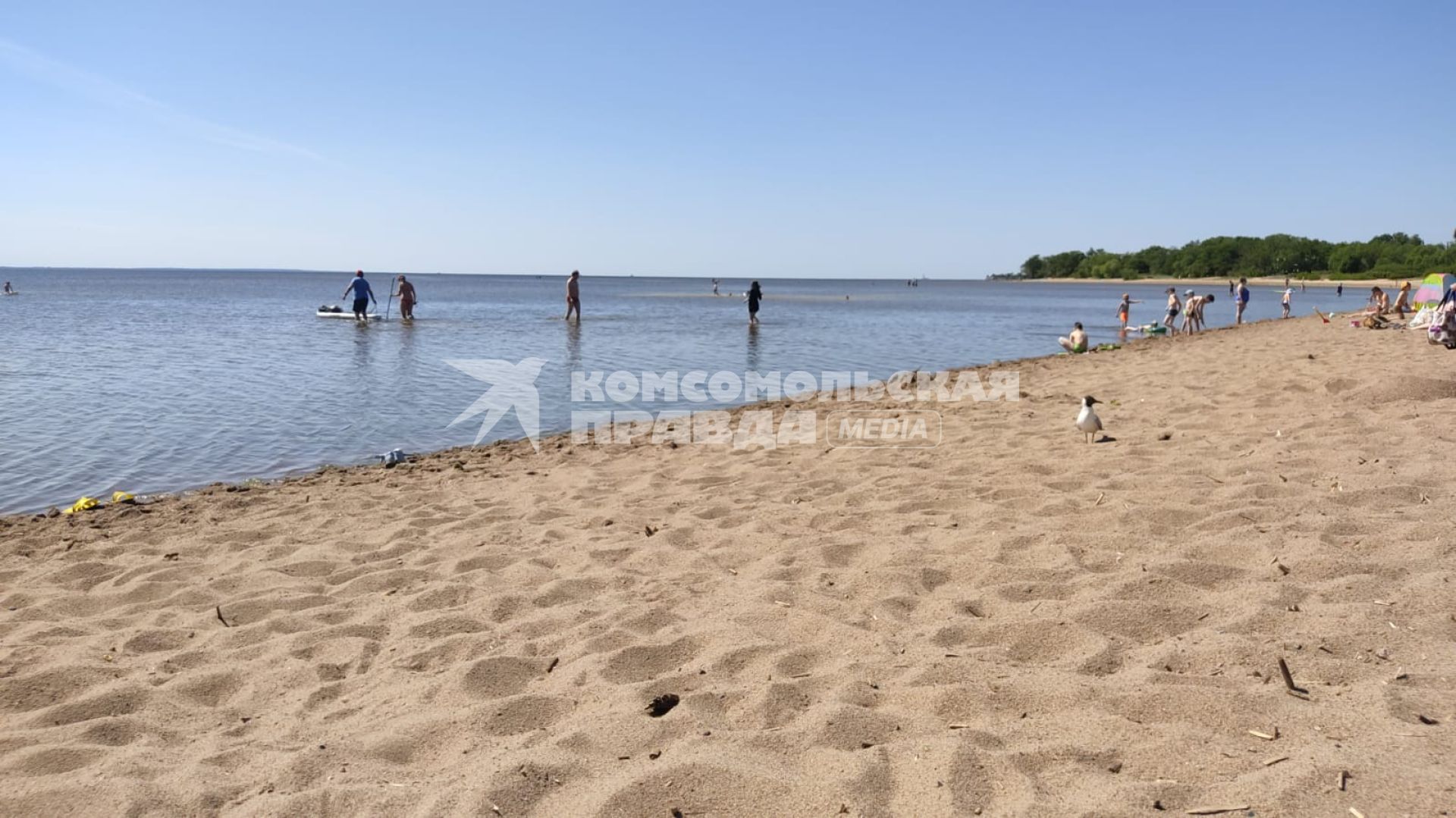 Москва. Отдыхающие на пляже `Динамо` на Химкинском водохранилище.