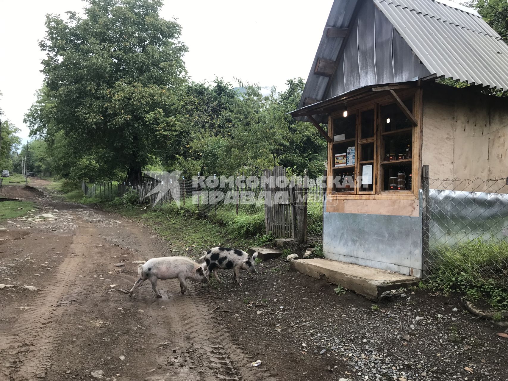 Абхазия. Сухумский район. с.Псху. Деревенский магазинчик по продаже меда.