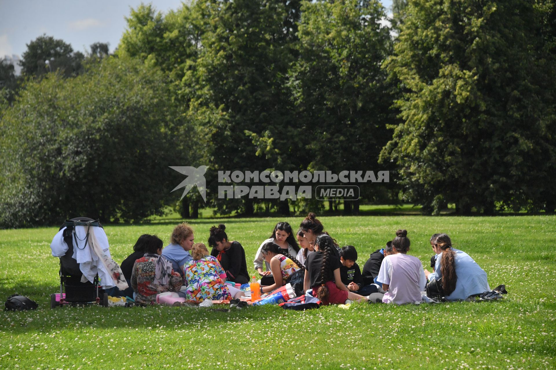Москва. Молодые люди отдыхают  в парке  Коломенское.