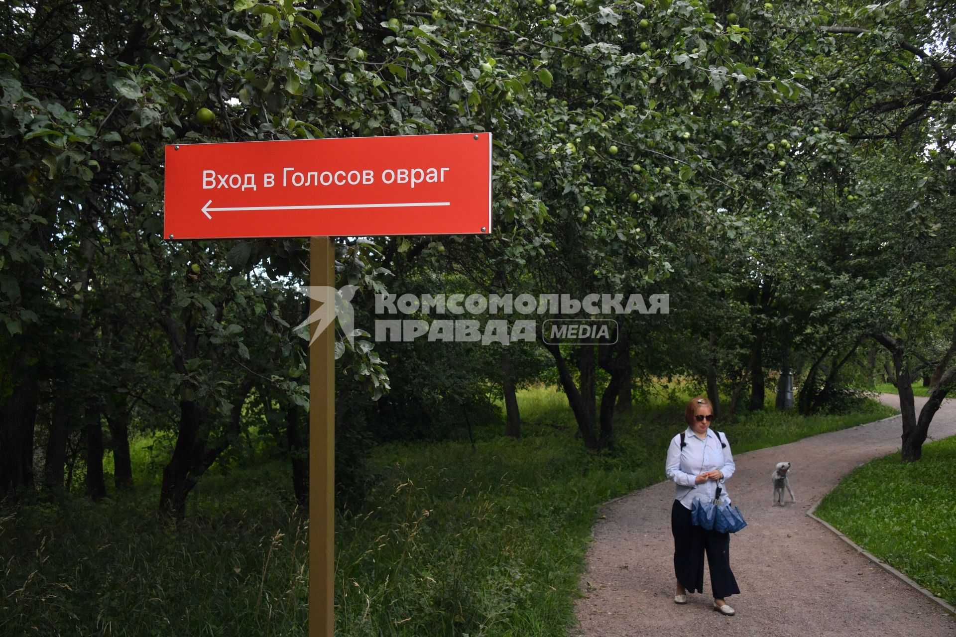 Москва. Женщина с собакой гуляет у входа в Голосов овраг  парка Коломенское.