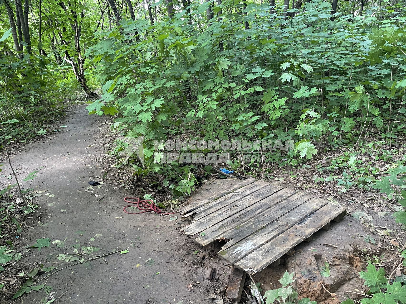 Москва. Коллектор в парке `Коломенское`, где было найденно тело 11-летнего мальчика, убитого своим другом.