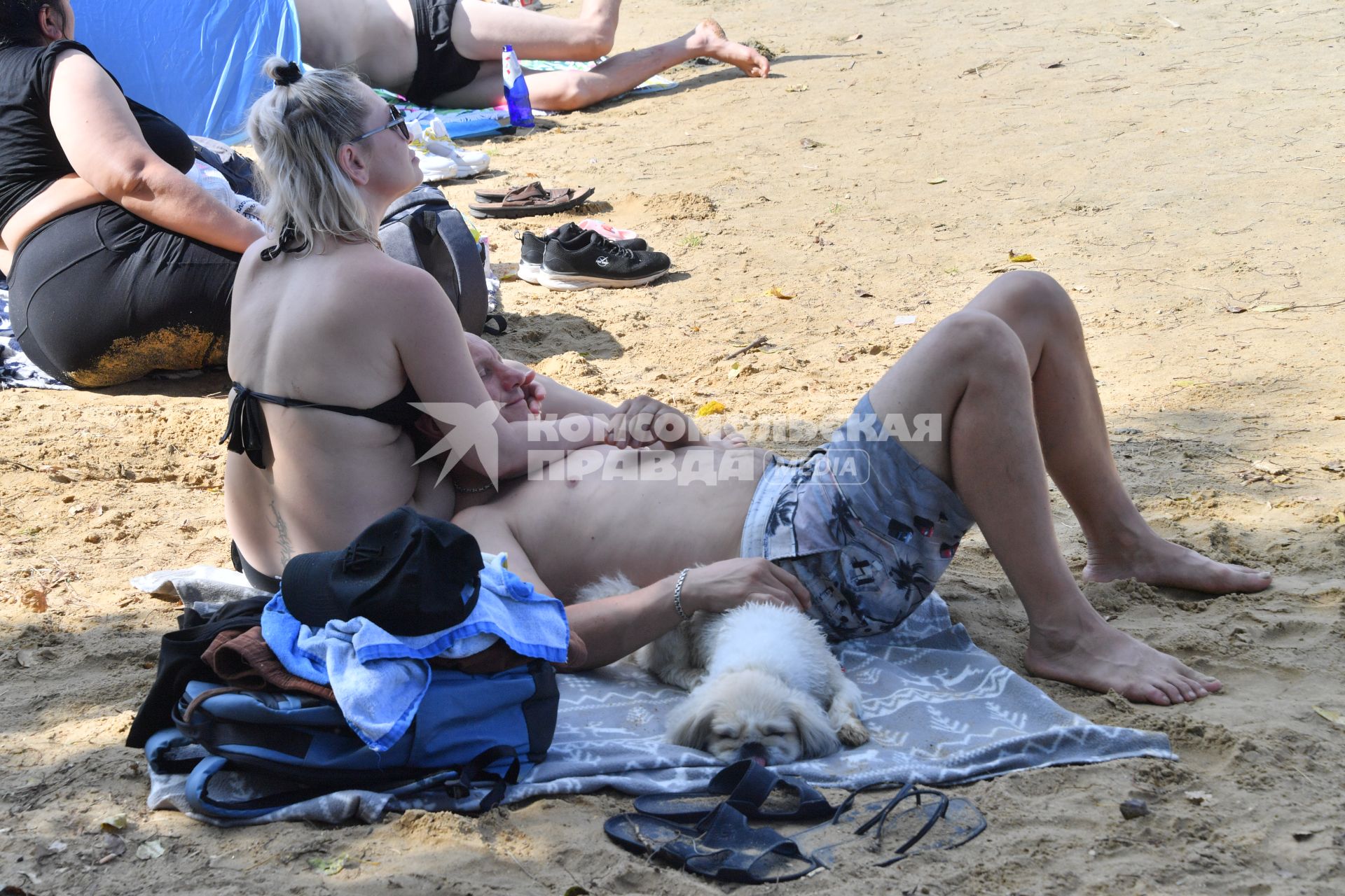 Москва. Пара с собакой загорают на пляже озера Белое в районе Косино-Ухтомское.