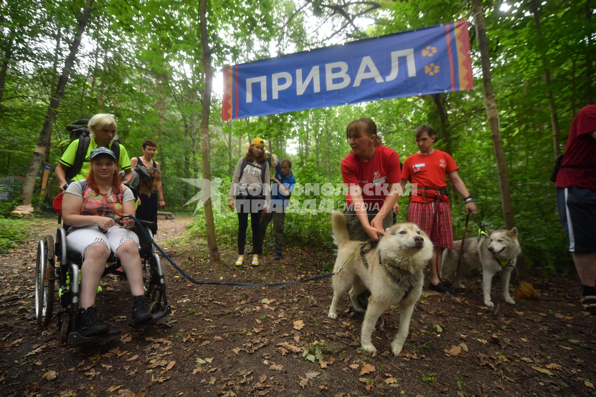 `Хаски-терапия: идем в поход!`