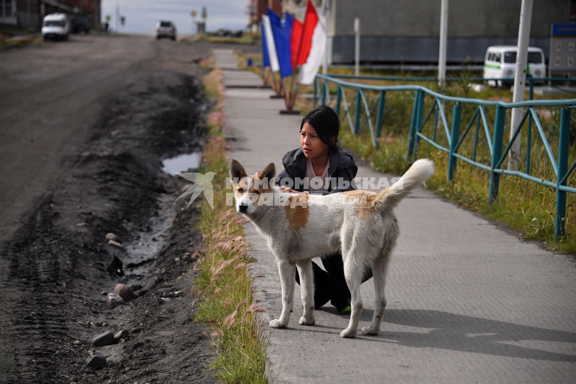 Красноярский край. Хатанга.  Девушка с собакой на улице поселка.