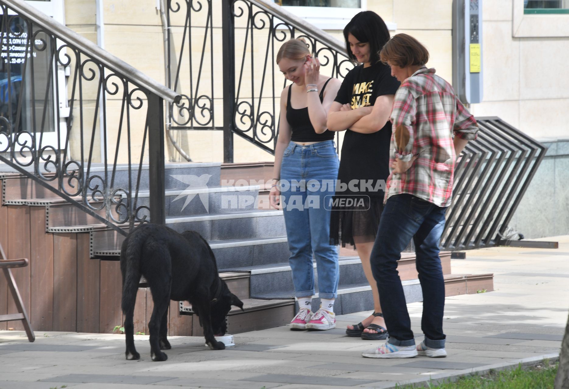 Сахалинская область. Южно-Сахалинск.  Девчки кормят бездомную собаку.