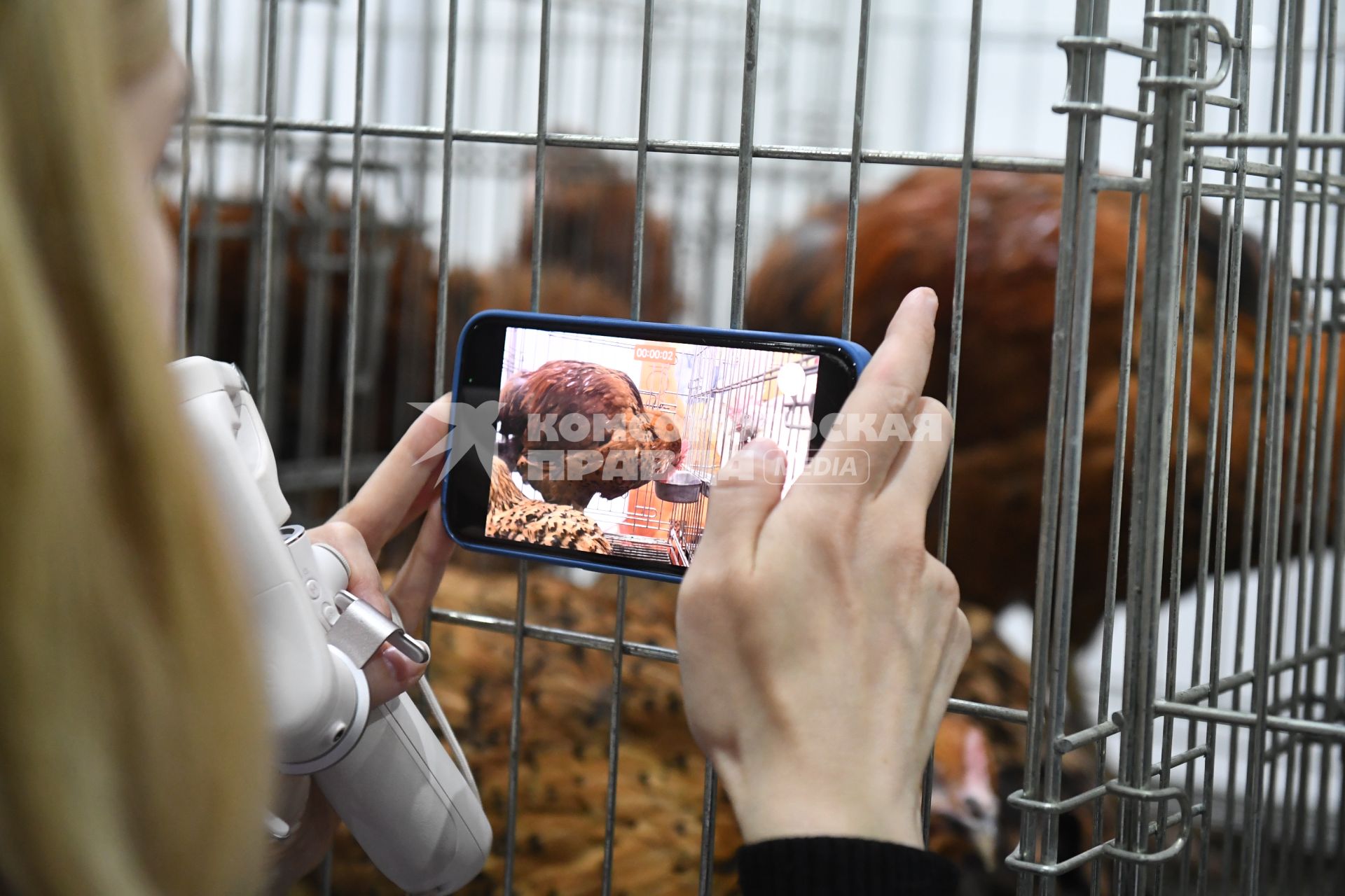 Москва. Девушка  фотографирует на 25-ой Российской агропромышленной выставке `Золотая осень  2023` в Российском государственном аграрном университете  МСХА им. Тимирязева.