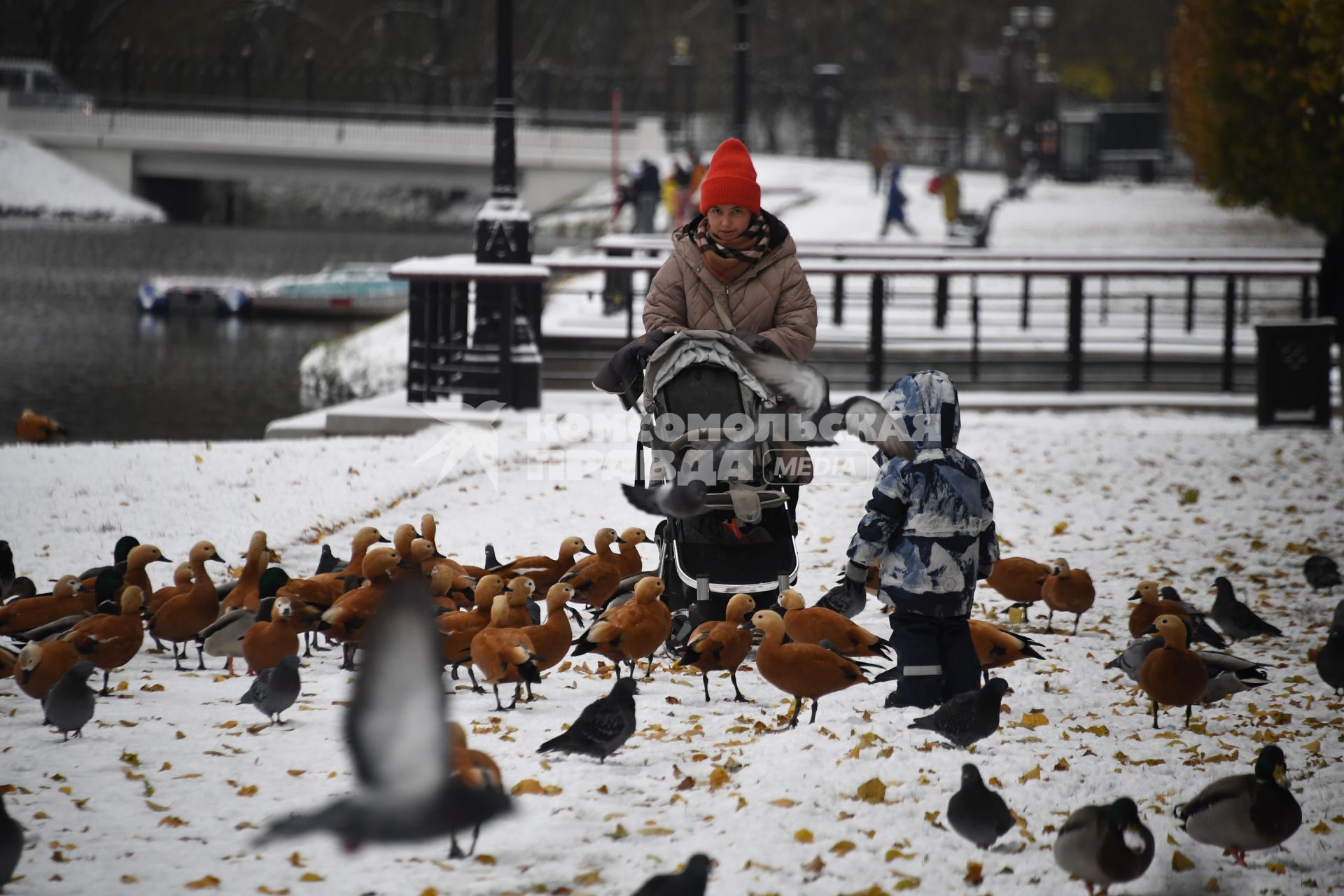 Москва. Женщина с ребенком гуляют в парке у пруда.