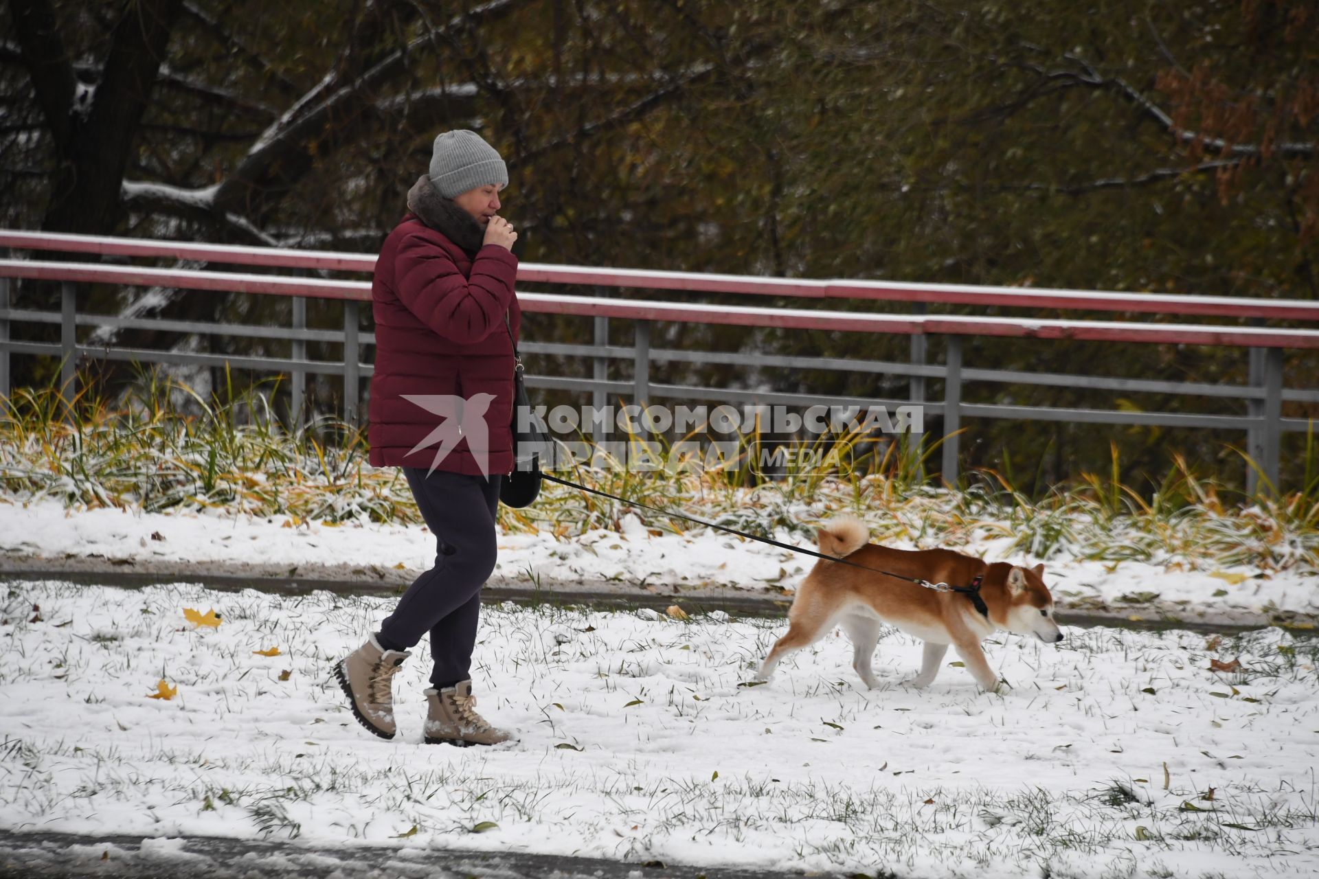 Москва. Женщина выгуливает собаку.