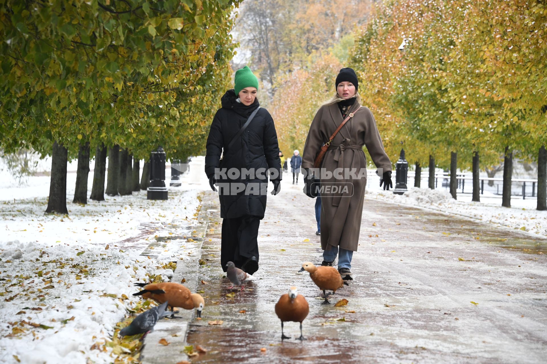 Москва. Женщины гуляют в парке.