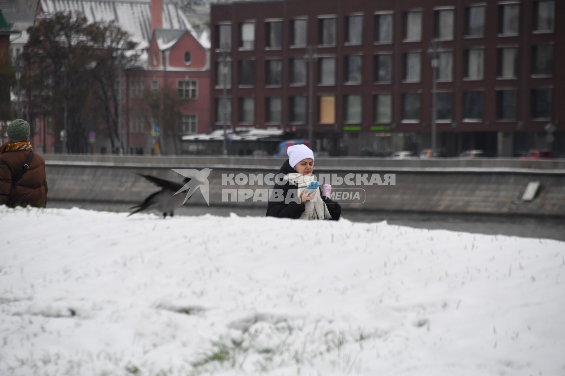 Москва.   Ворона на снегу.