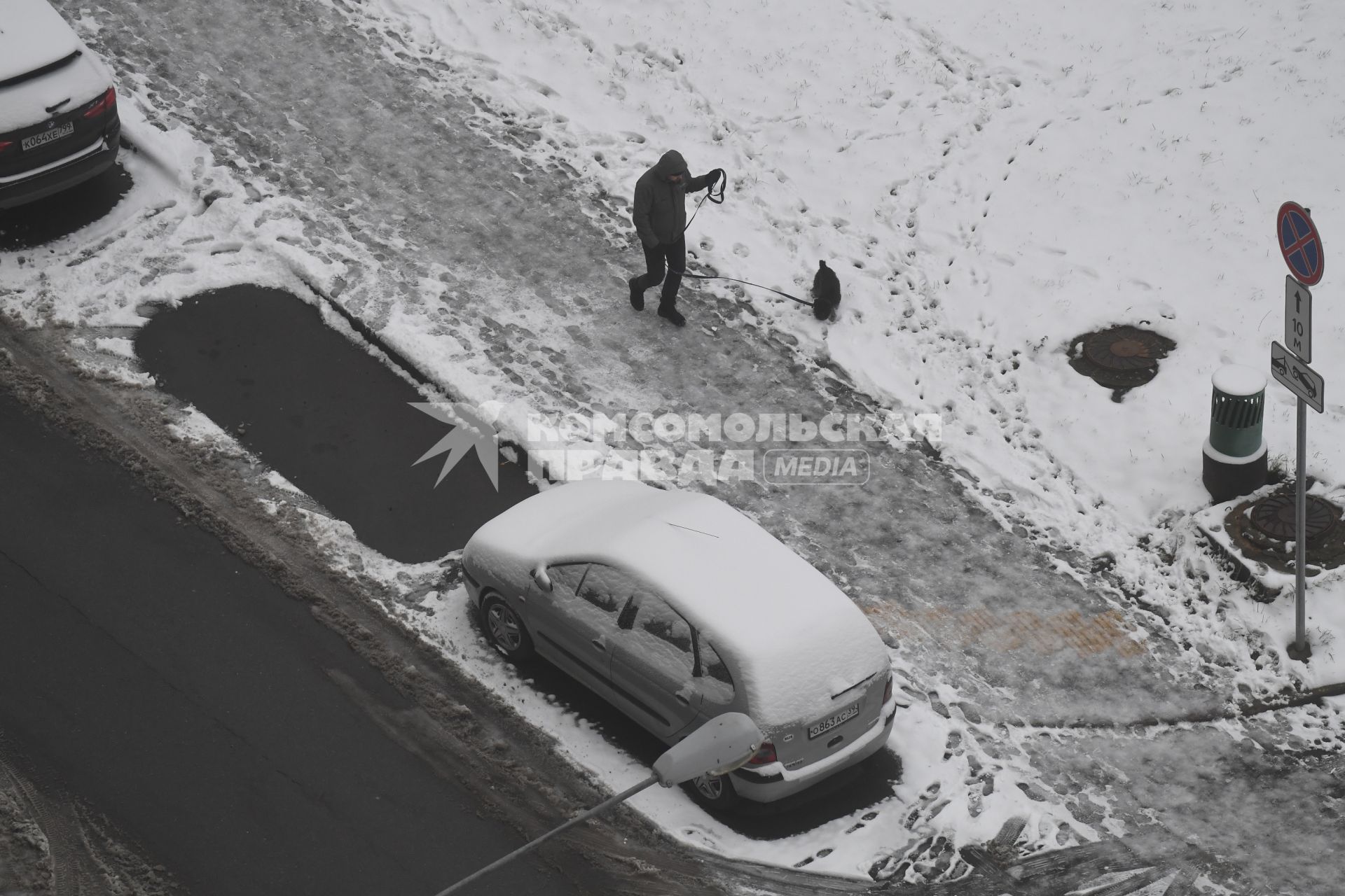 Москва.   Мужчина гуляет с собакой  во время снегопада.