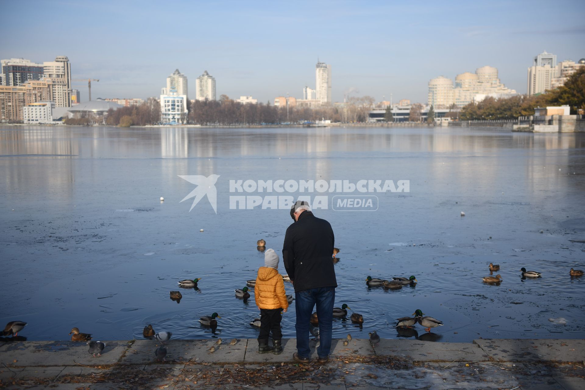 Екатеринбург.Дедушка с внуком кормят уток на городском пруду