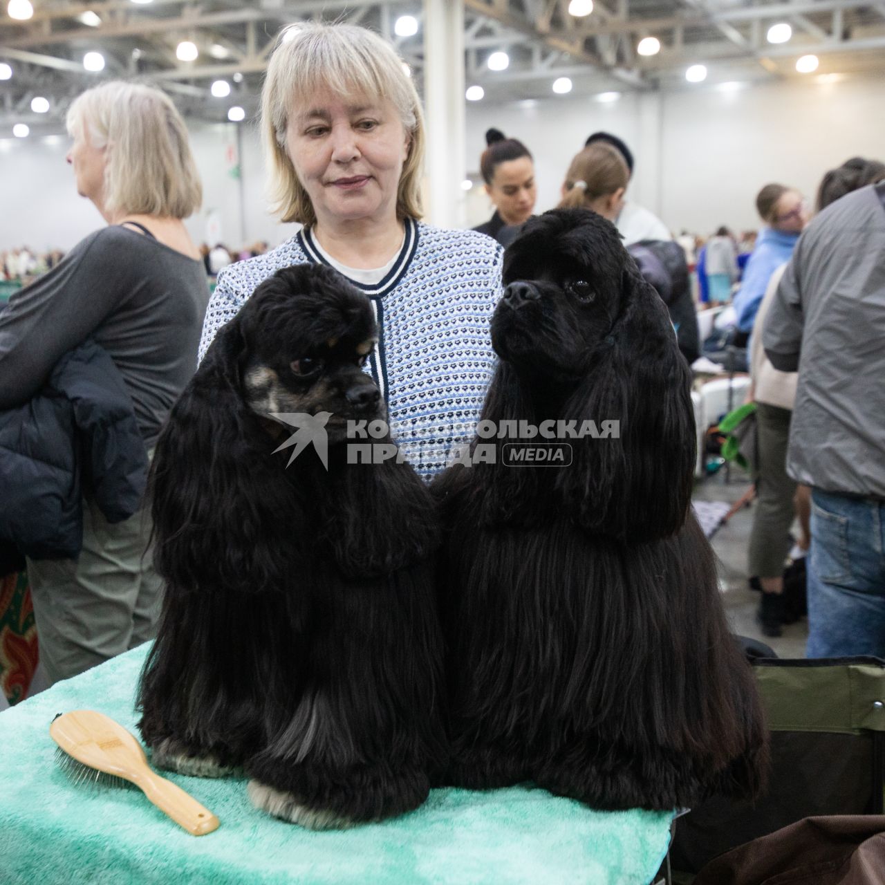 Выставка собак `Евразия` в Красногорске