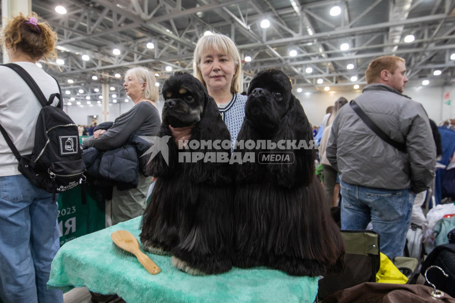 Выставка собак `Евразия` в Красногорске