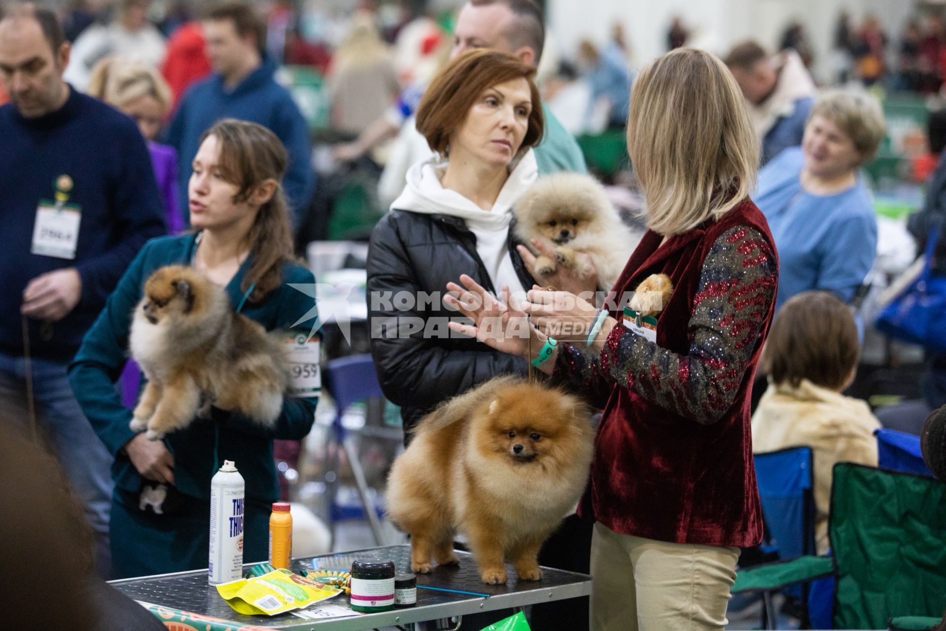 Выставка собак `Евразия` в Красногорске