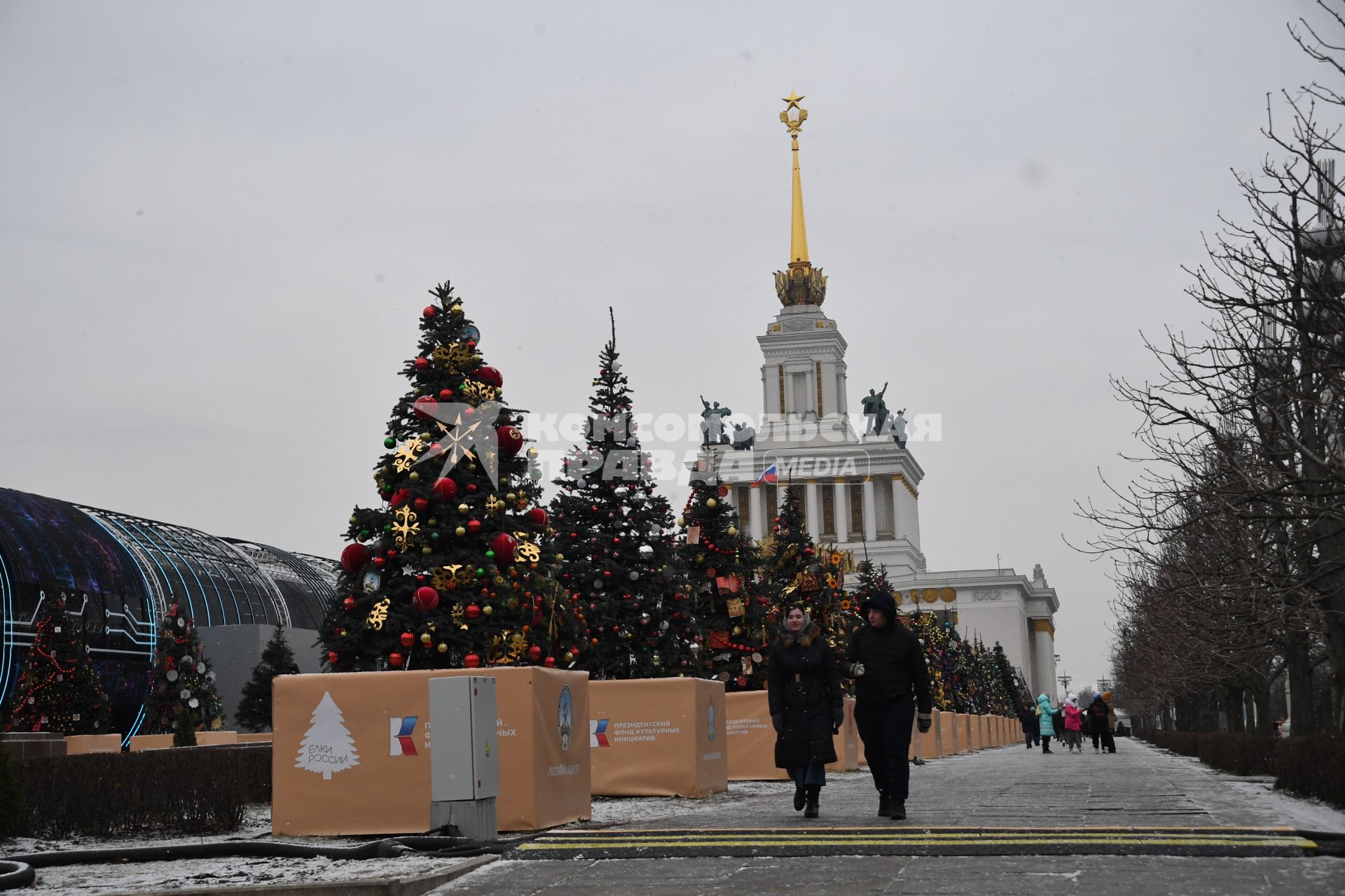 Новогодний проект `Елки России`на ВДНХ