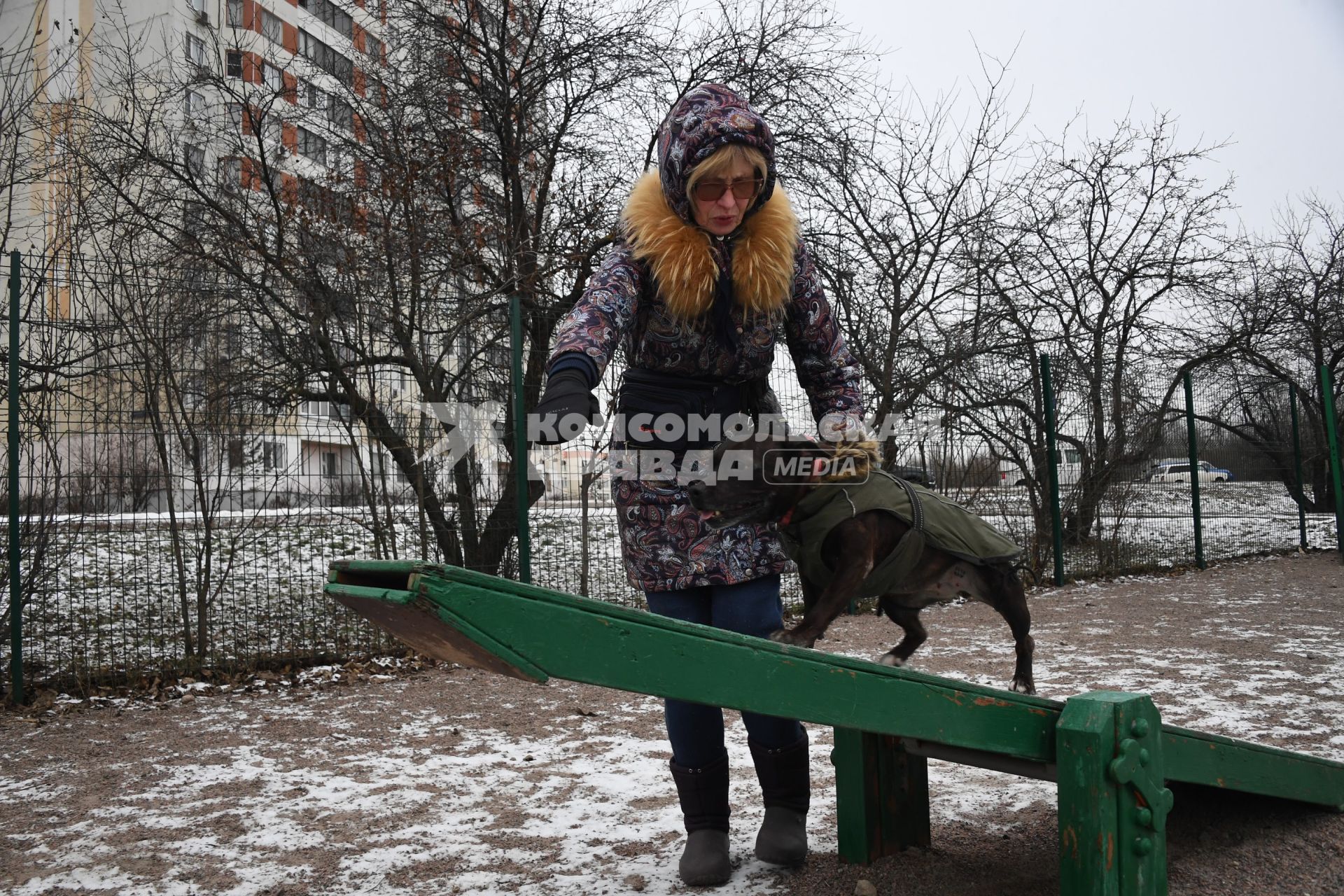 Собака в одежде на прогулке