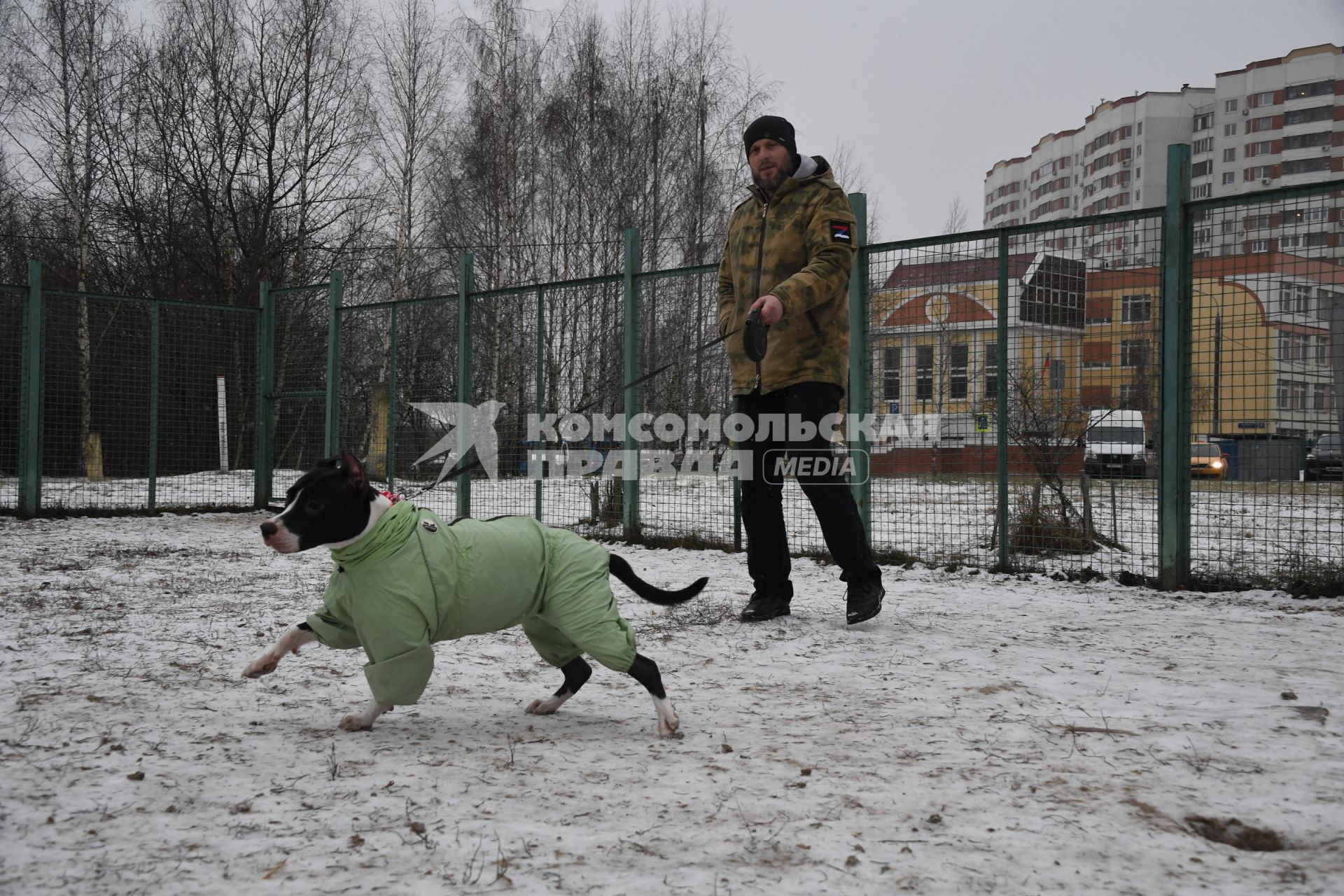 Собака в одежде на прогулке