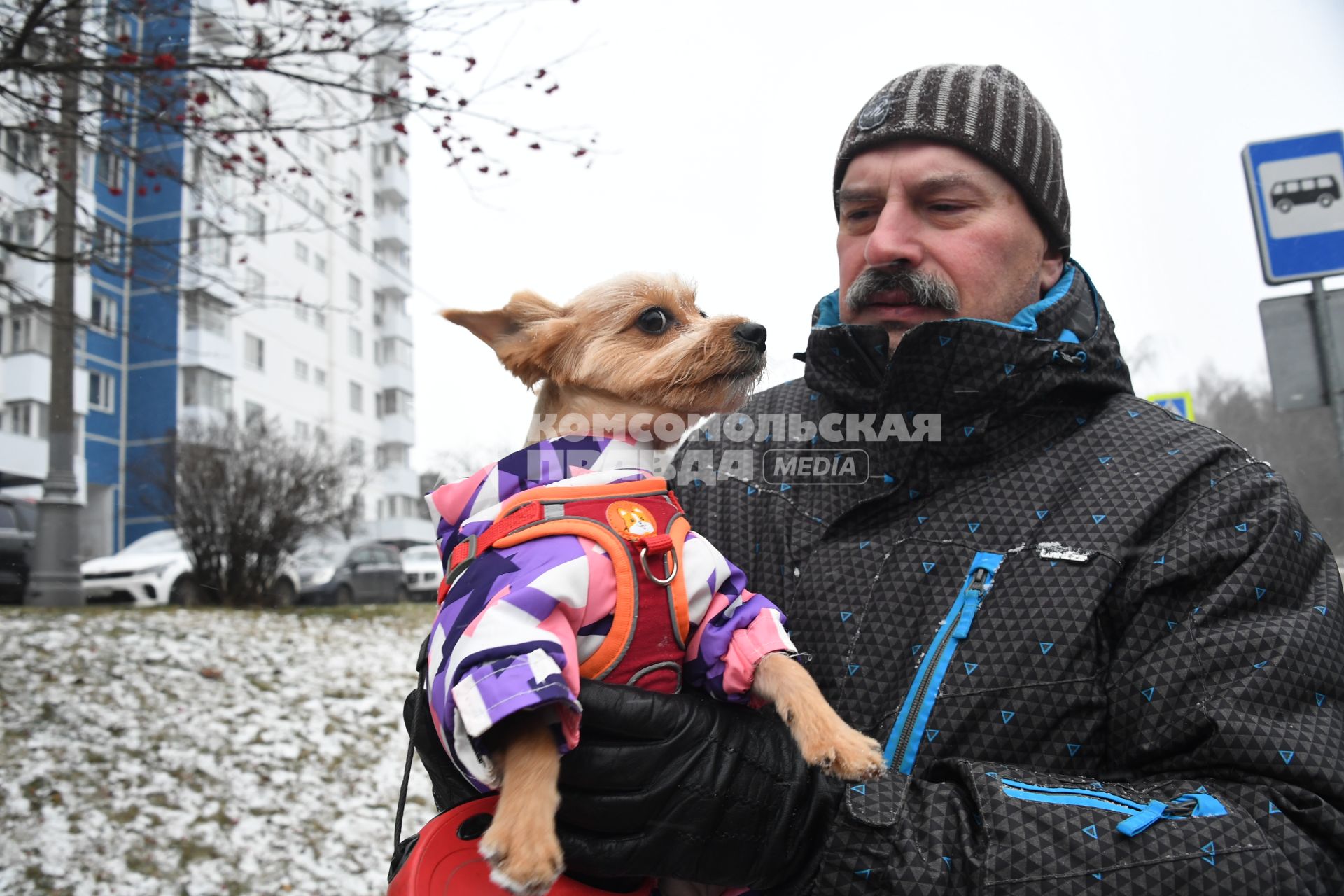 Собака в одежде на прогулке