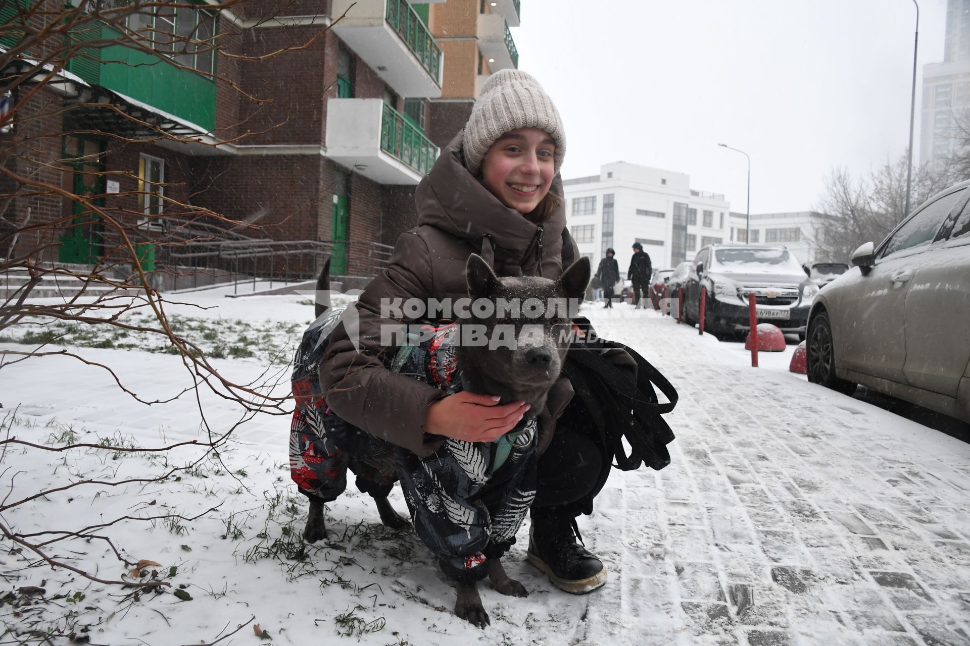 Собака в одежде на прогулке