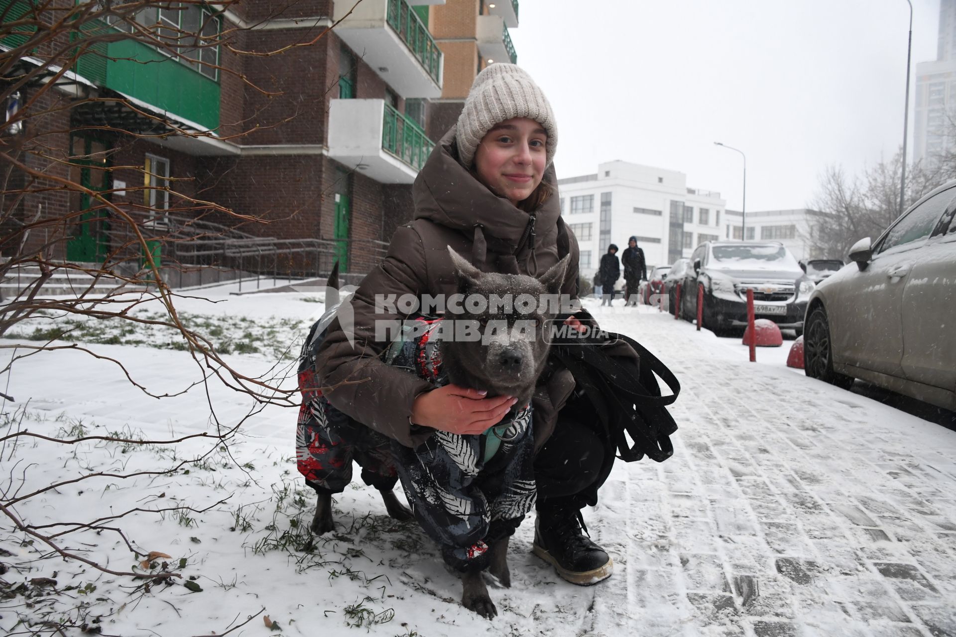 Собака в одежде на прогулке