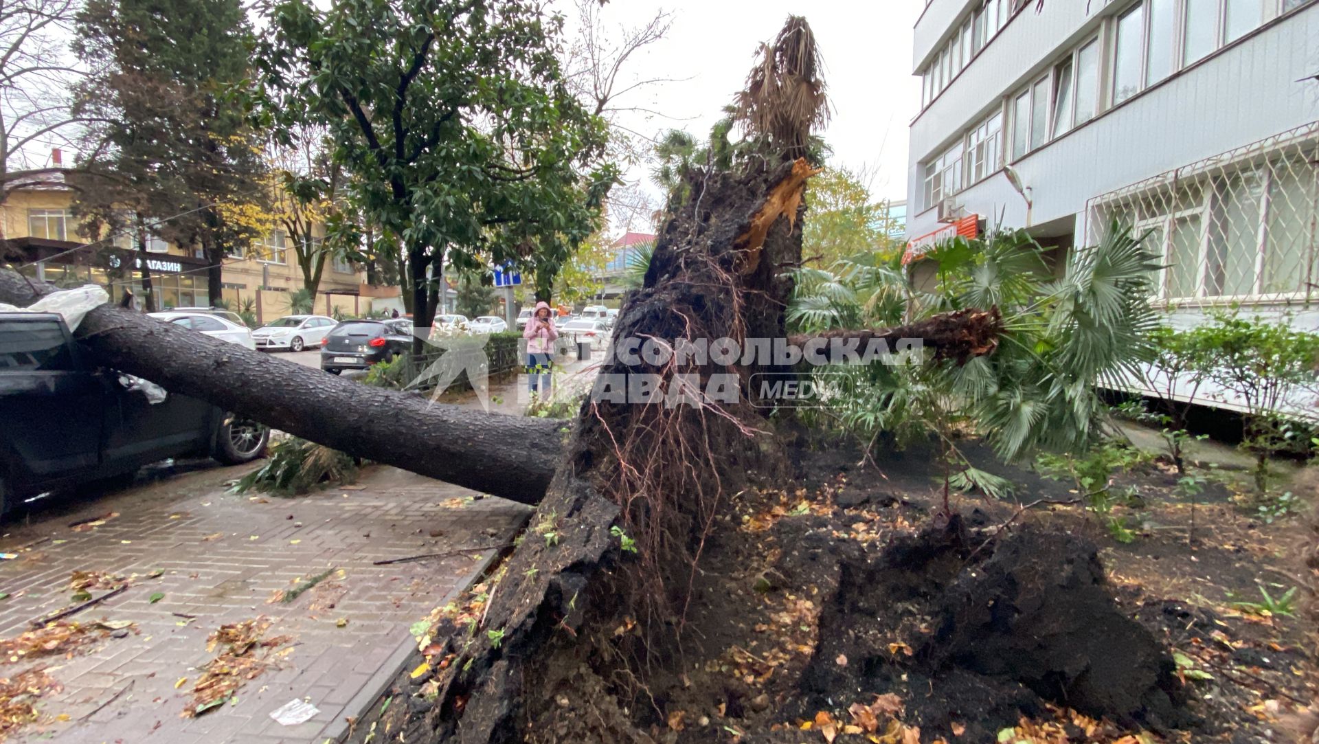 Последствия урагана в Сочи