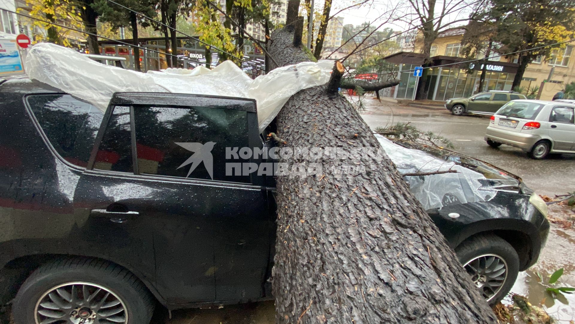 Последствия урагана в Сочи