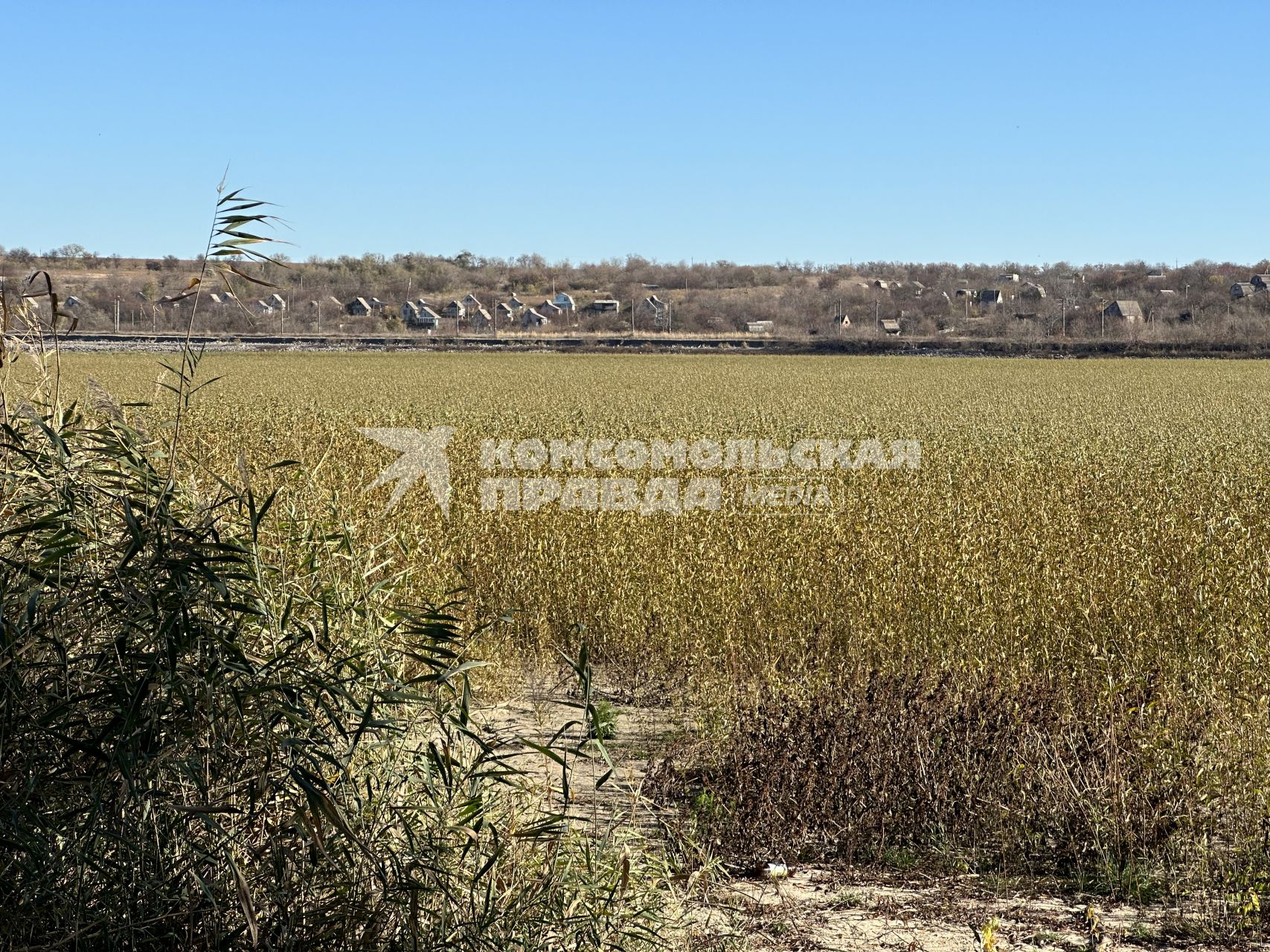 Запорожское водохранилище.