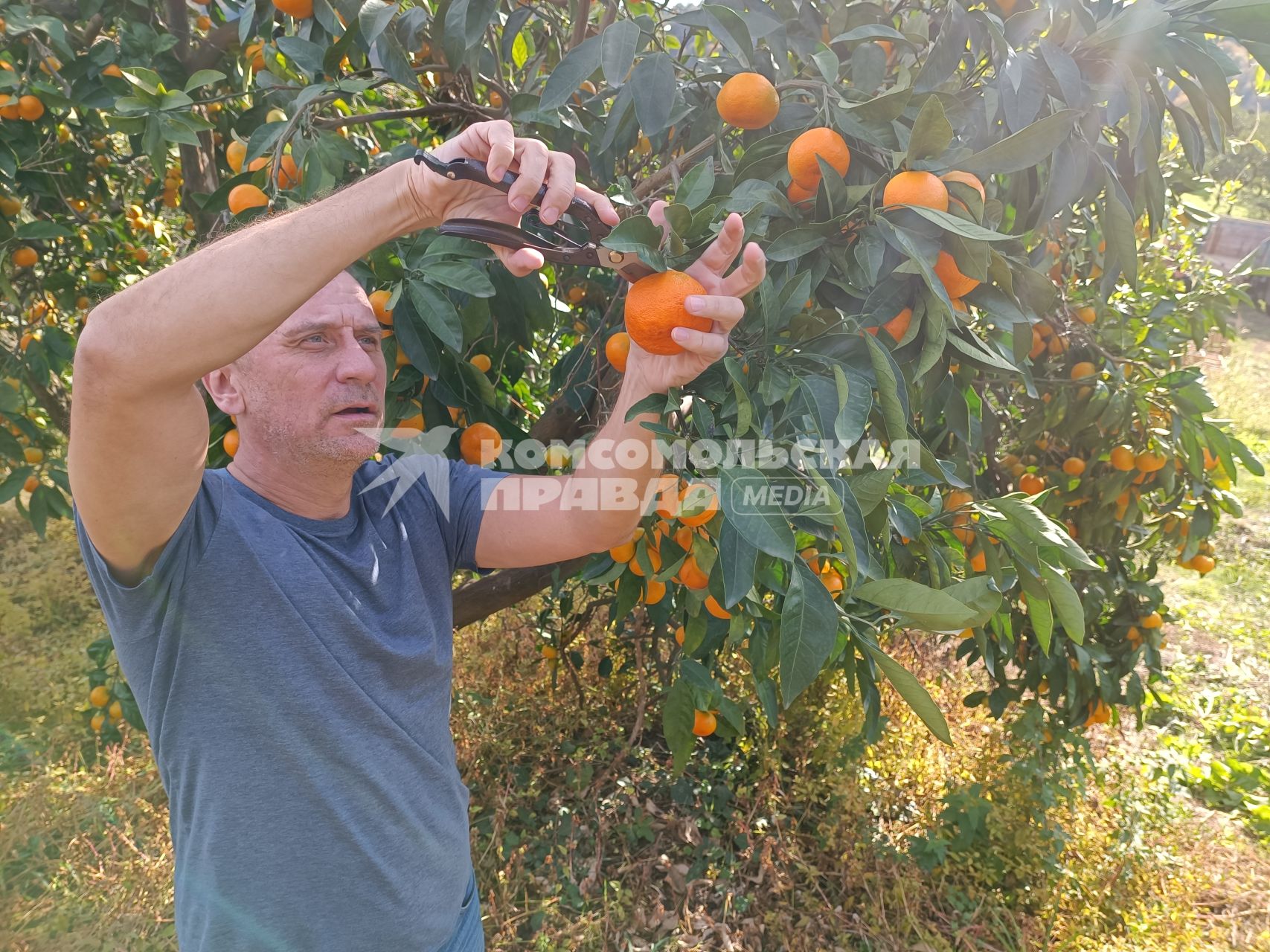 Владимир Ворсобин