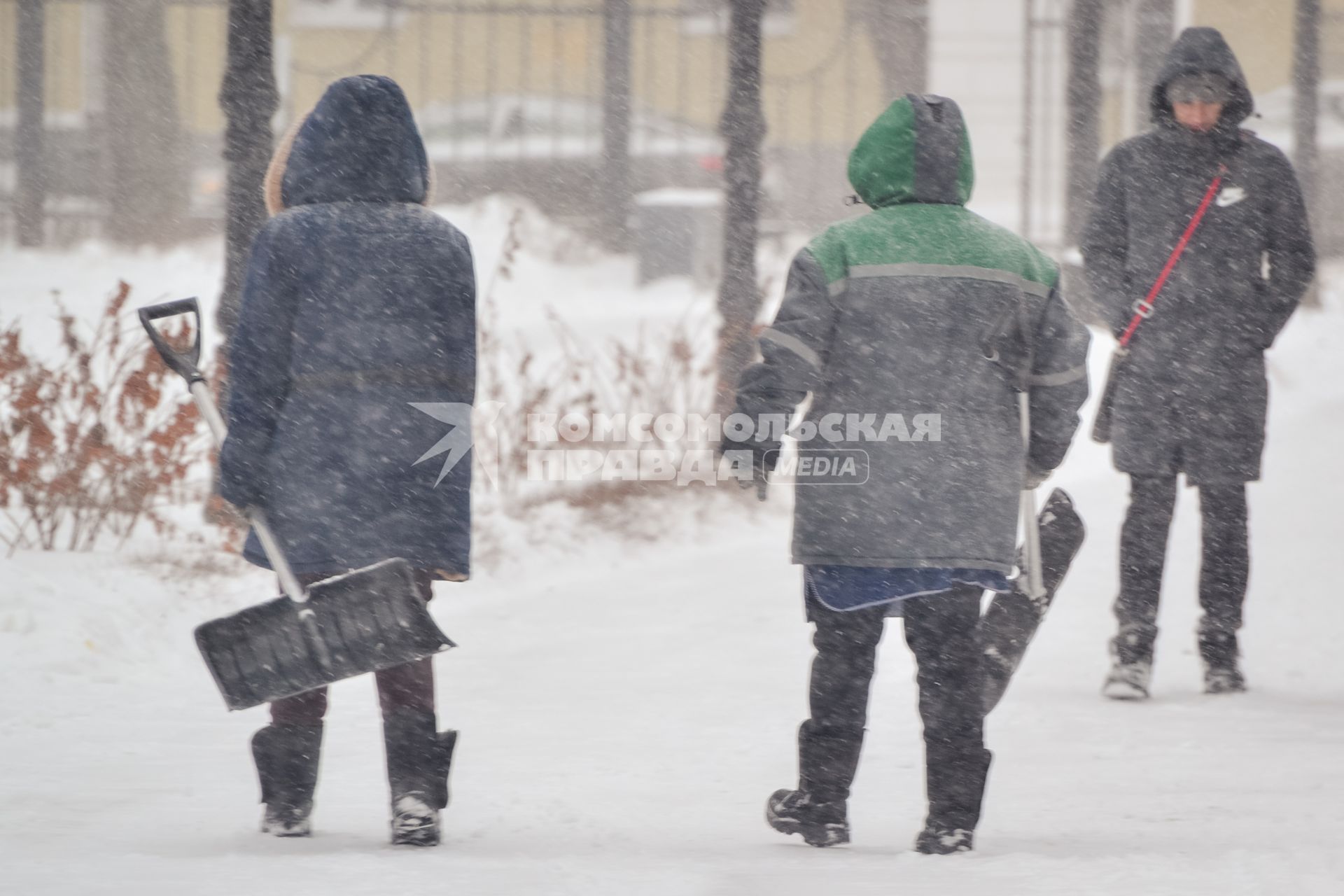 Снег в Воронеже