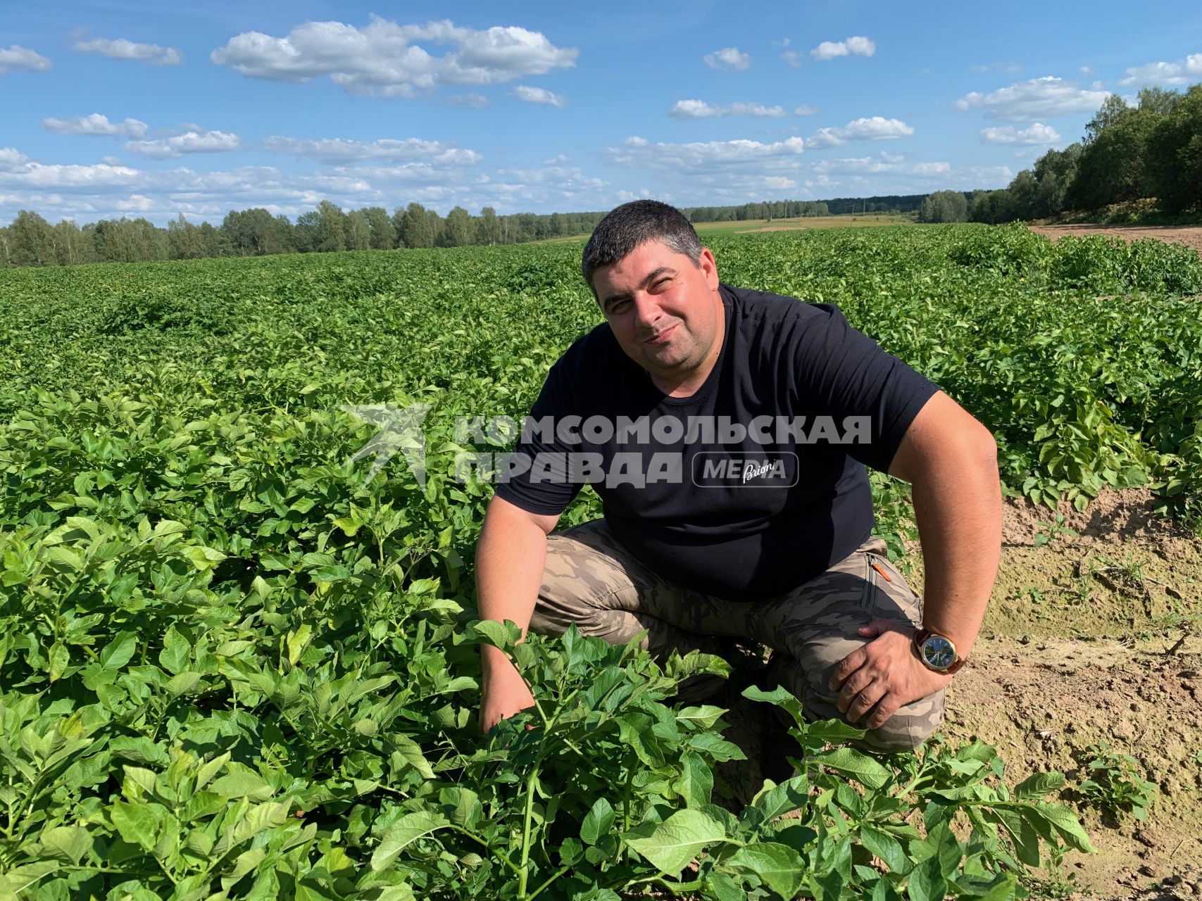 Сельское хозяйство в Тверской области