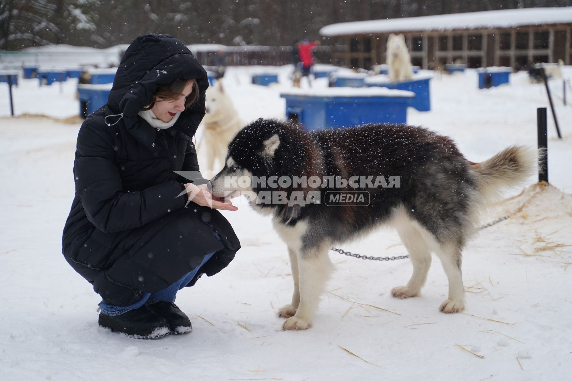 Корреспондент КП Алиса Вьюшкина