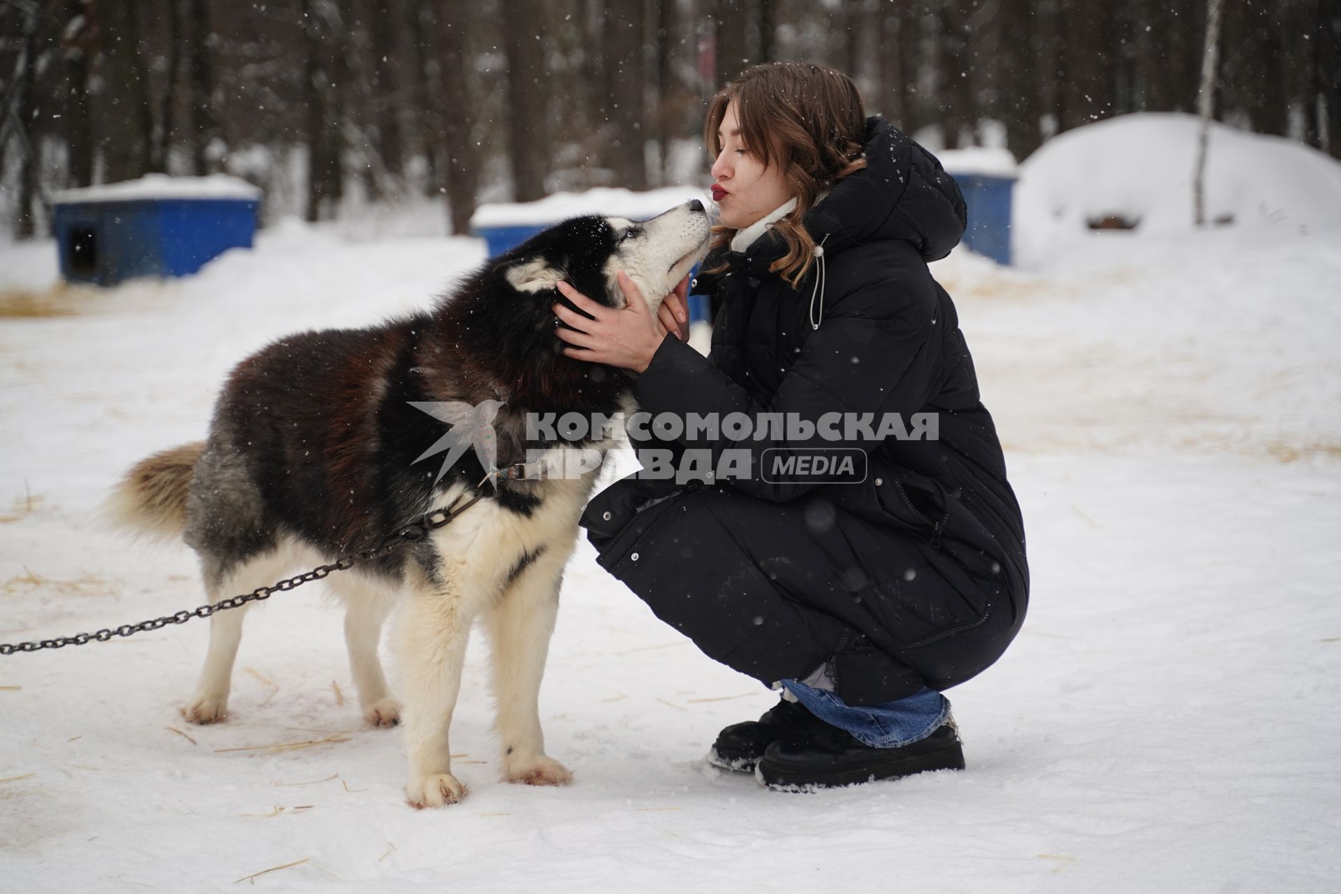 Корреспондент КП Алиса Вьюшкина