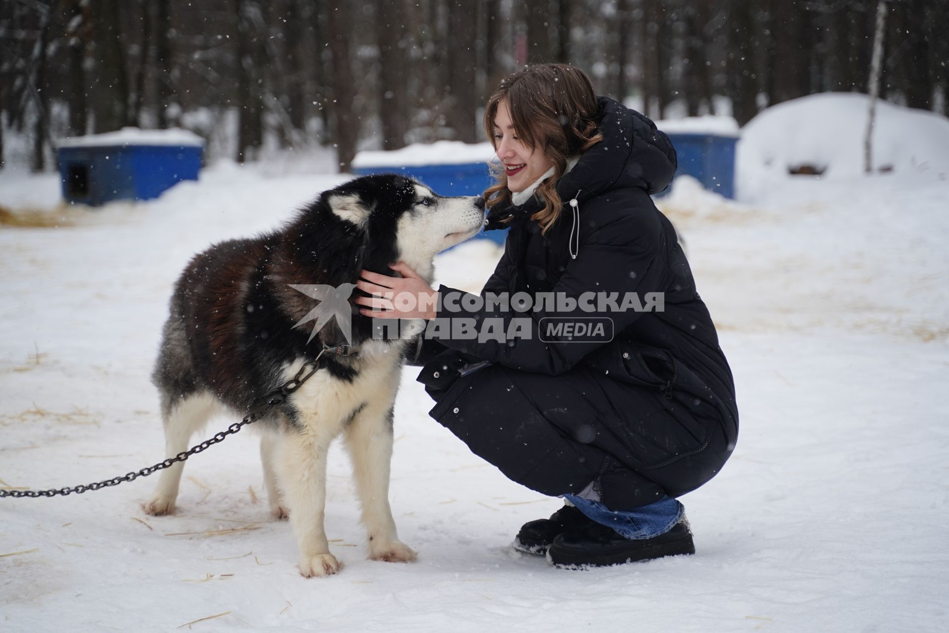 Корреспондент КП Алиса Вьюшкина