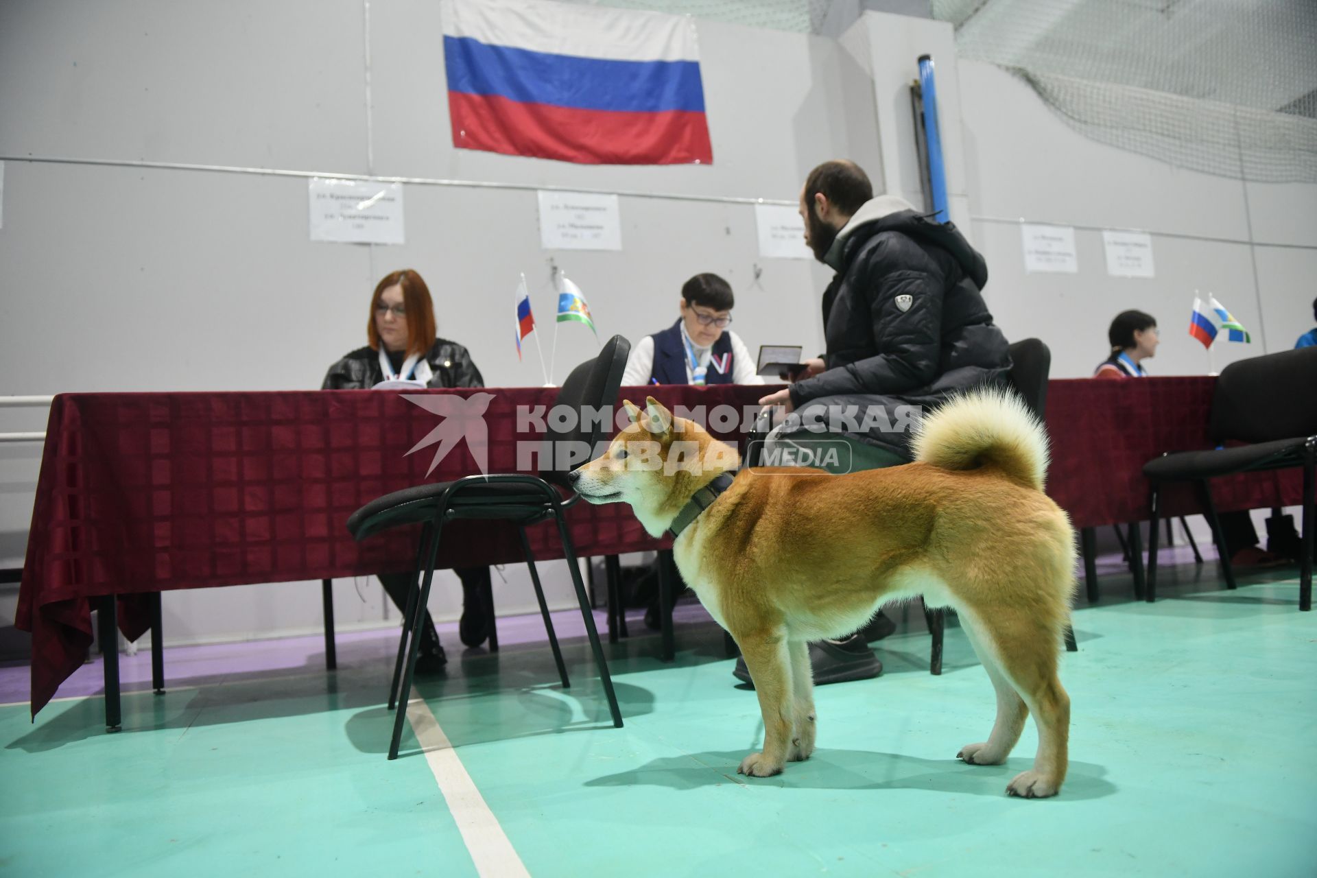 Выборы президента России в Екатеринбурге