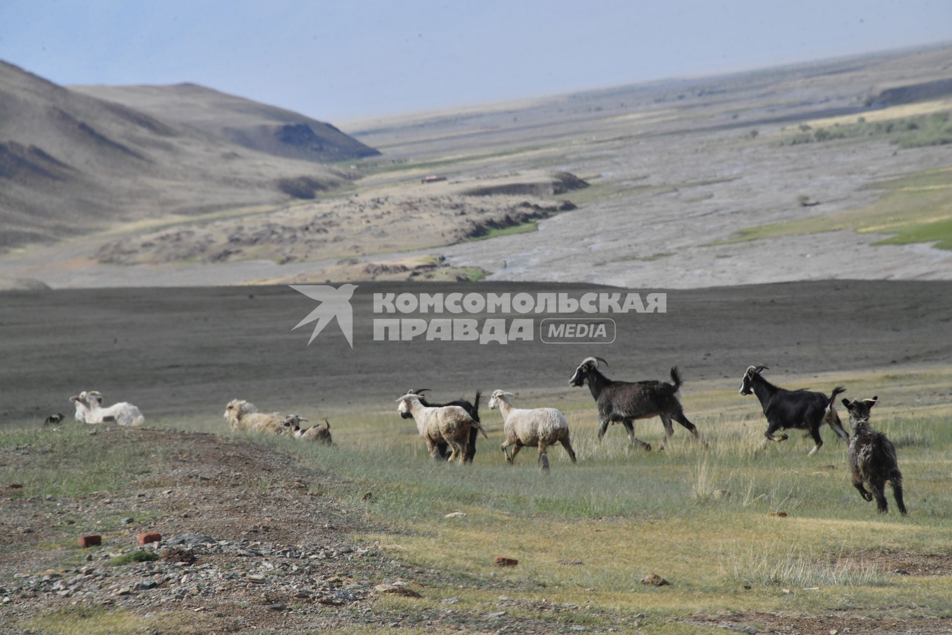 Национальный `Сайлюгемский парк `Алтая