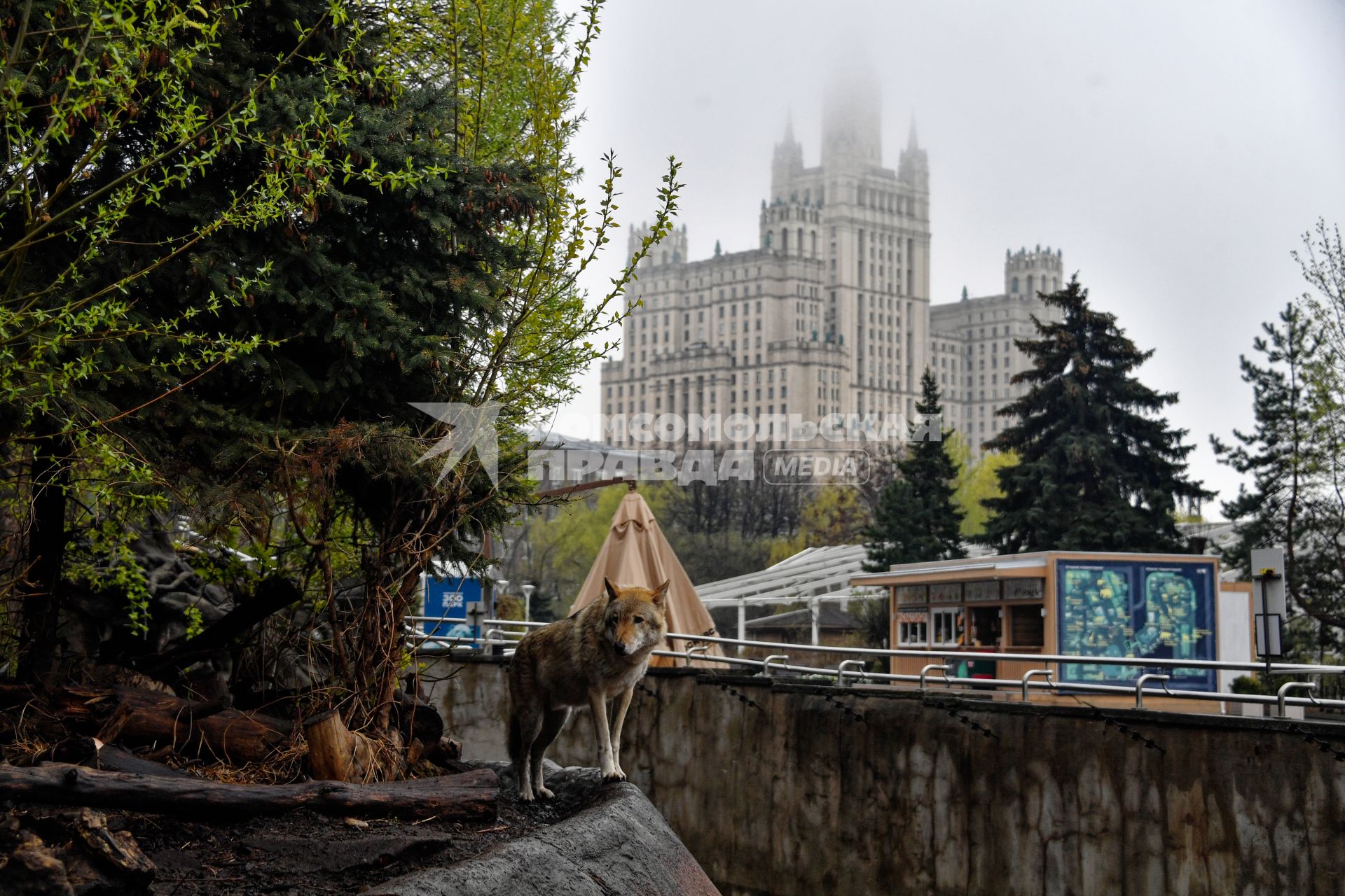 Весна в Московском зоопарке