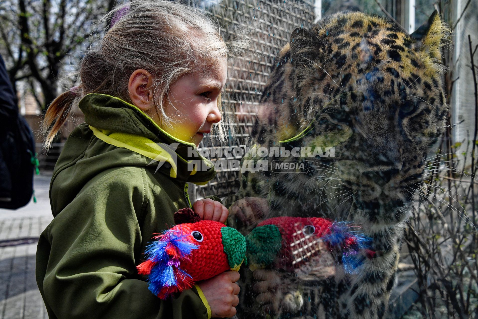 Весна в Московском зоопарке