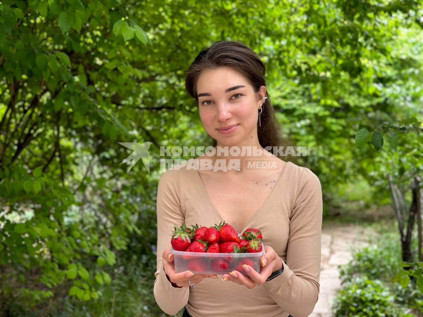 Сбор клубники в Крыму