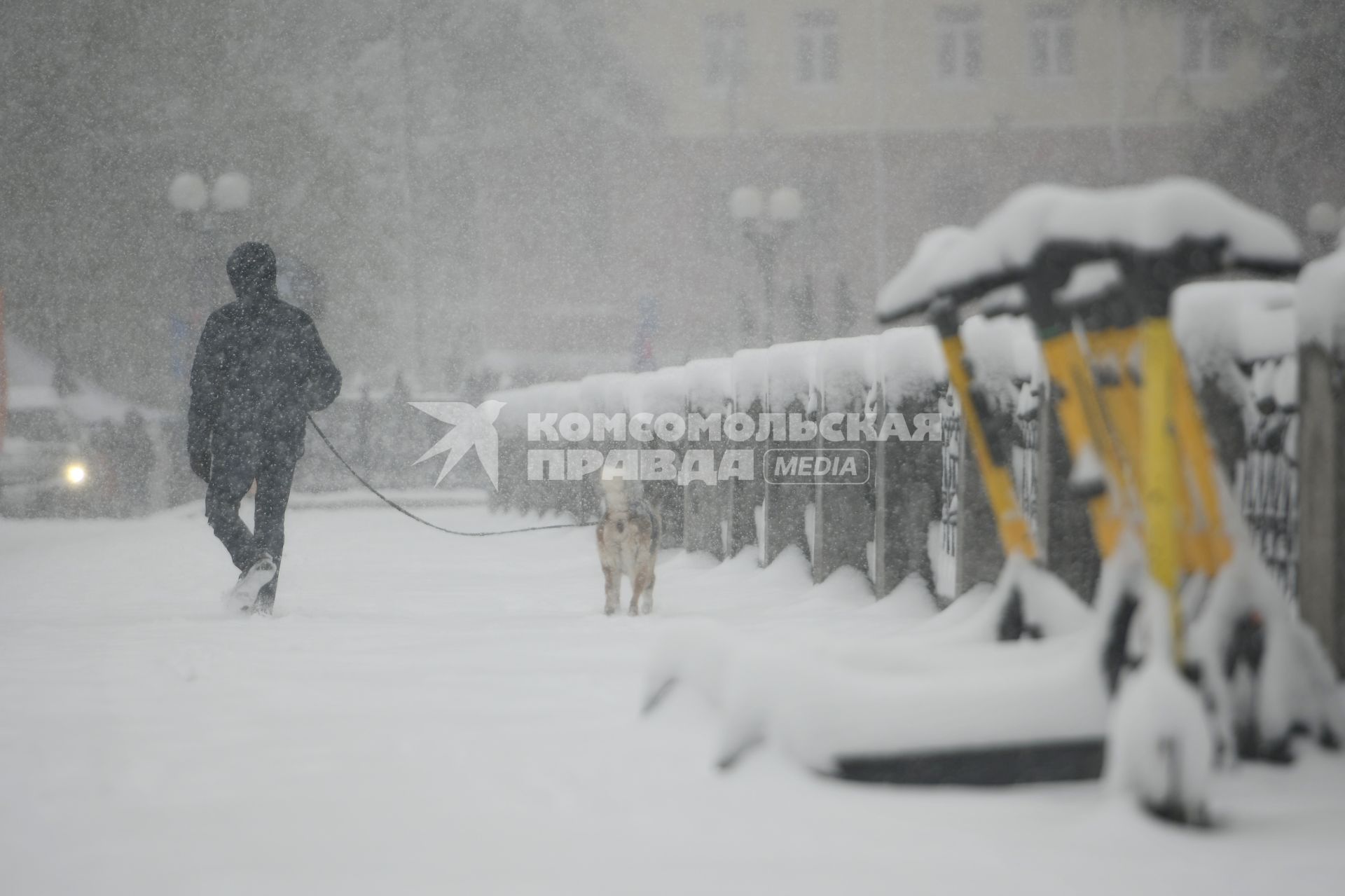 Последствия майского снегопада в Екатеринбурге