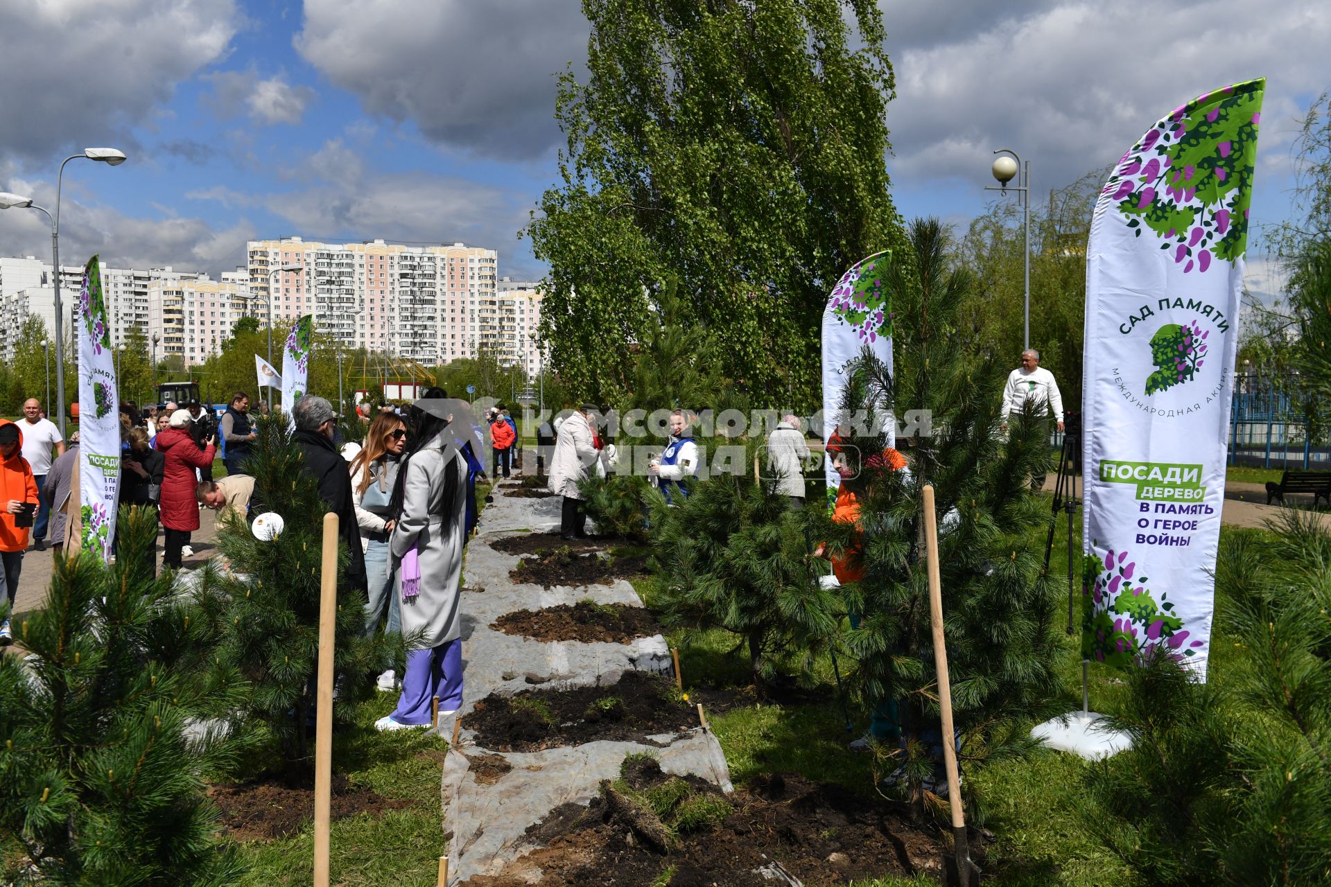 Кедровую аллею в память о погибших военных корреспондентах высадили в Москве