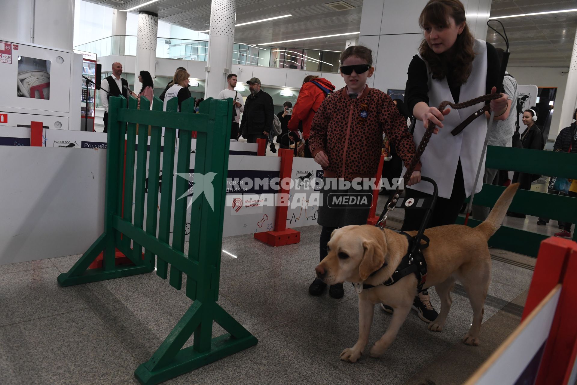 Показательные выступления школы подготовки собак-проводников в Московском метрополитене