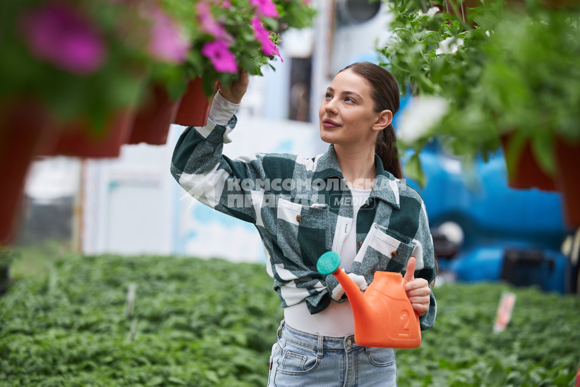 Выращивание цветов