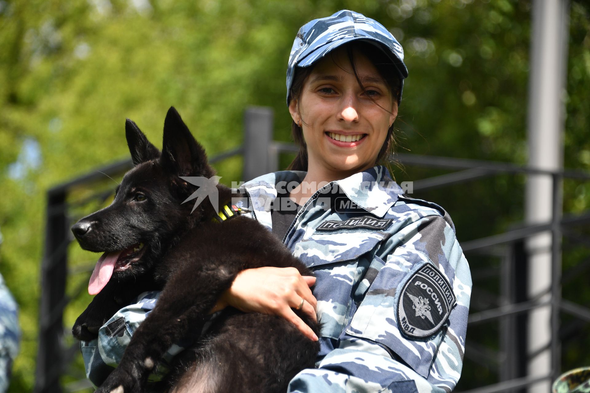 Фестиваль Собака – друг на службе Отечеству