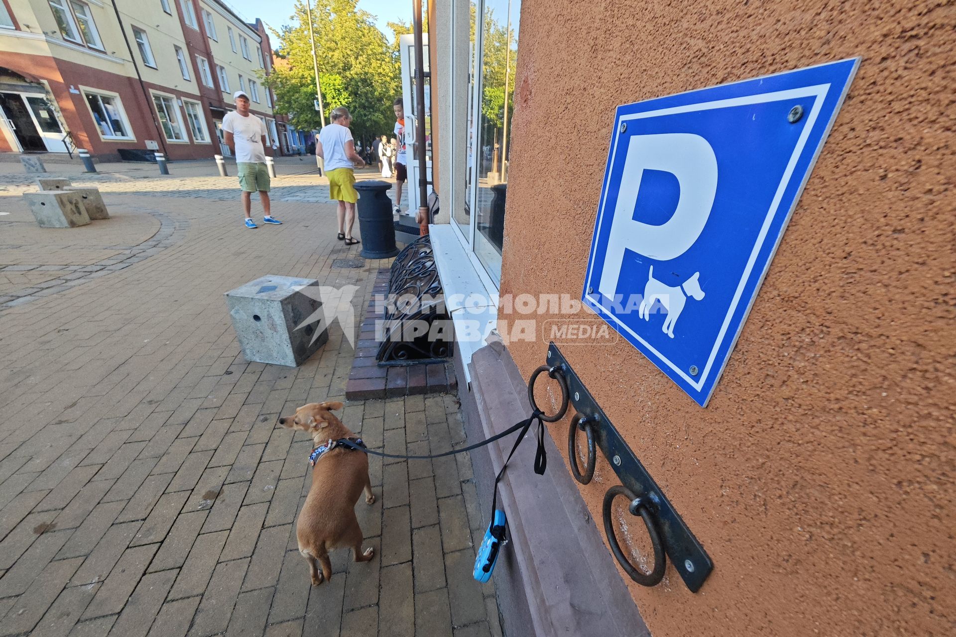 Отдых в Калининградской области