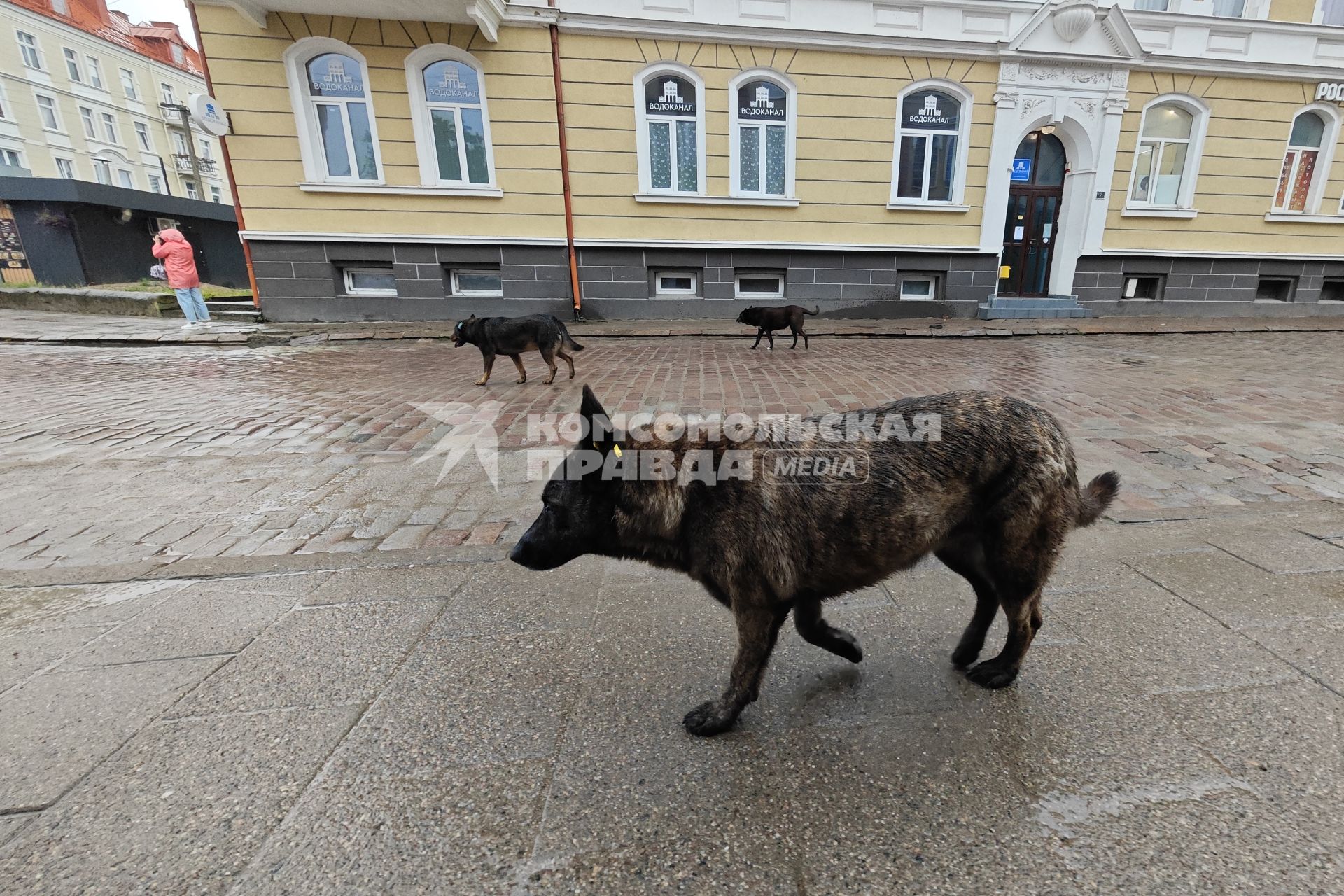 Отдых в Калининградской области