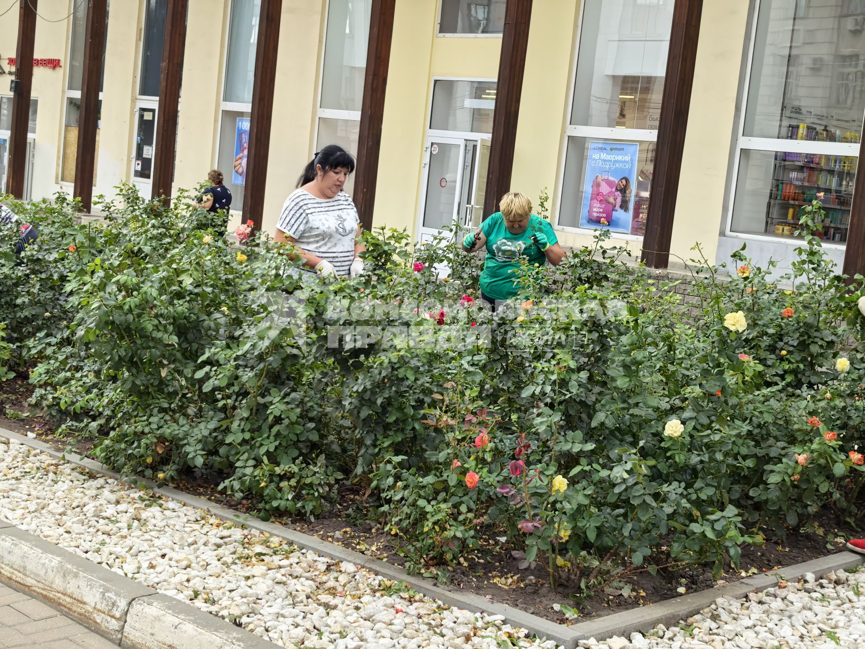 Повседневная жизнь в Курске