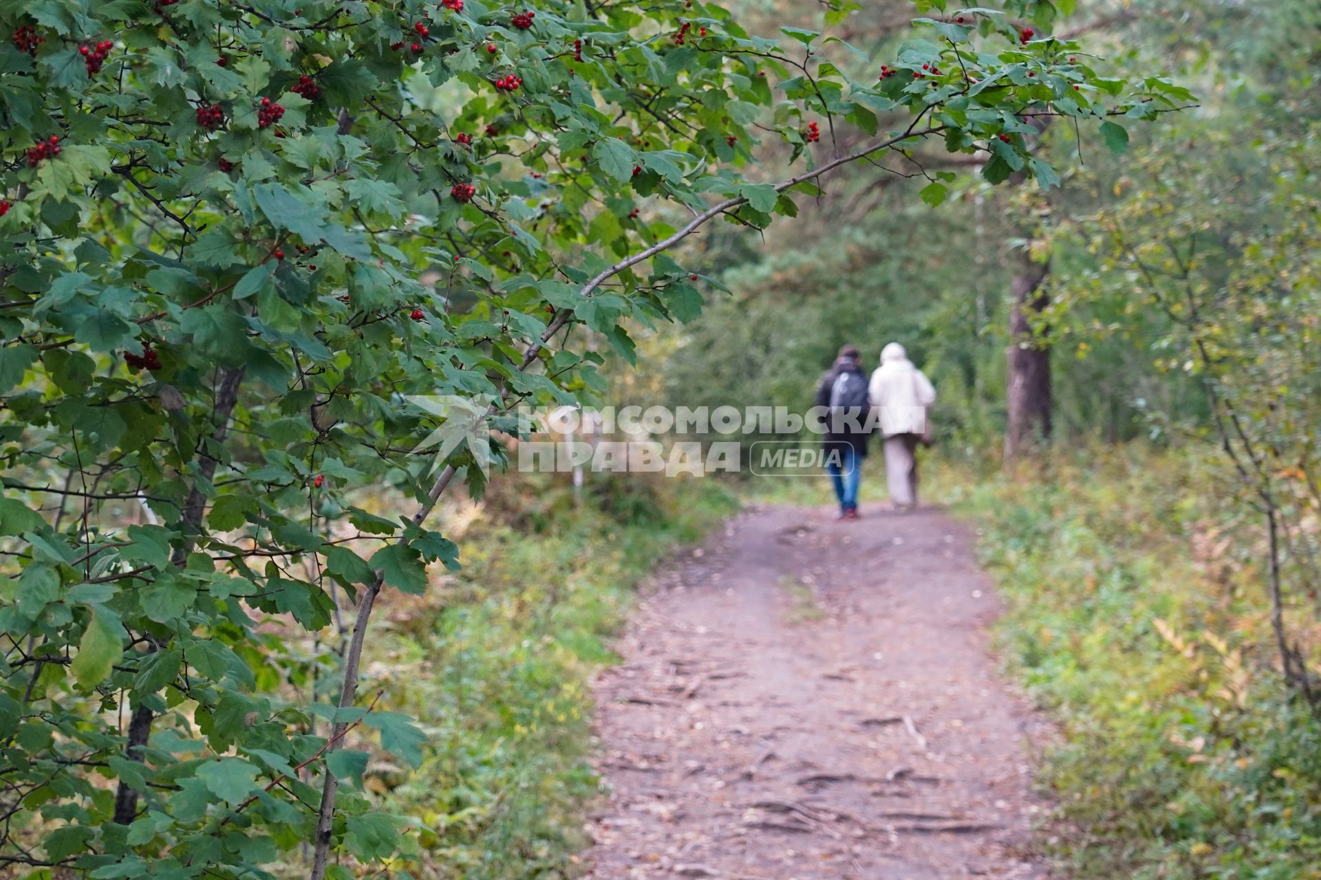 Осень в Красноярске