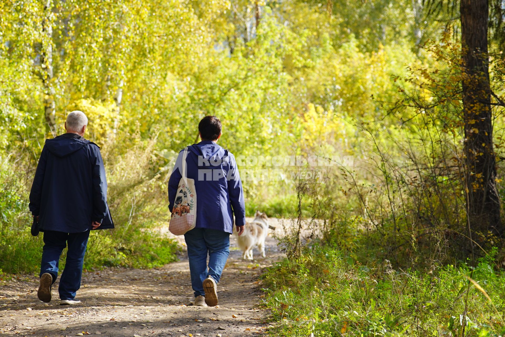 Осень в Красноярске